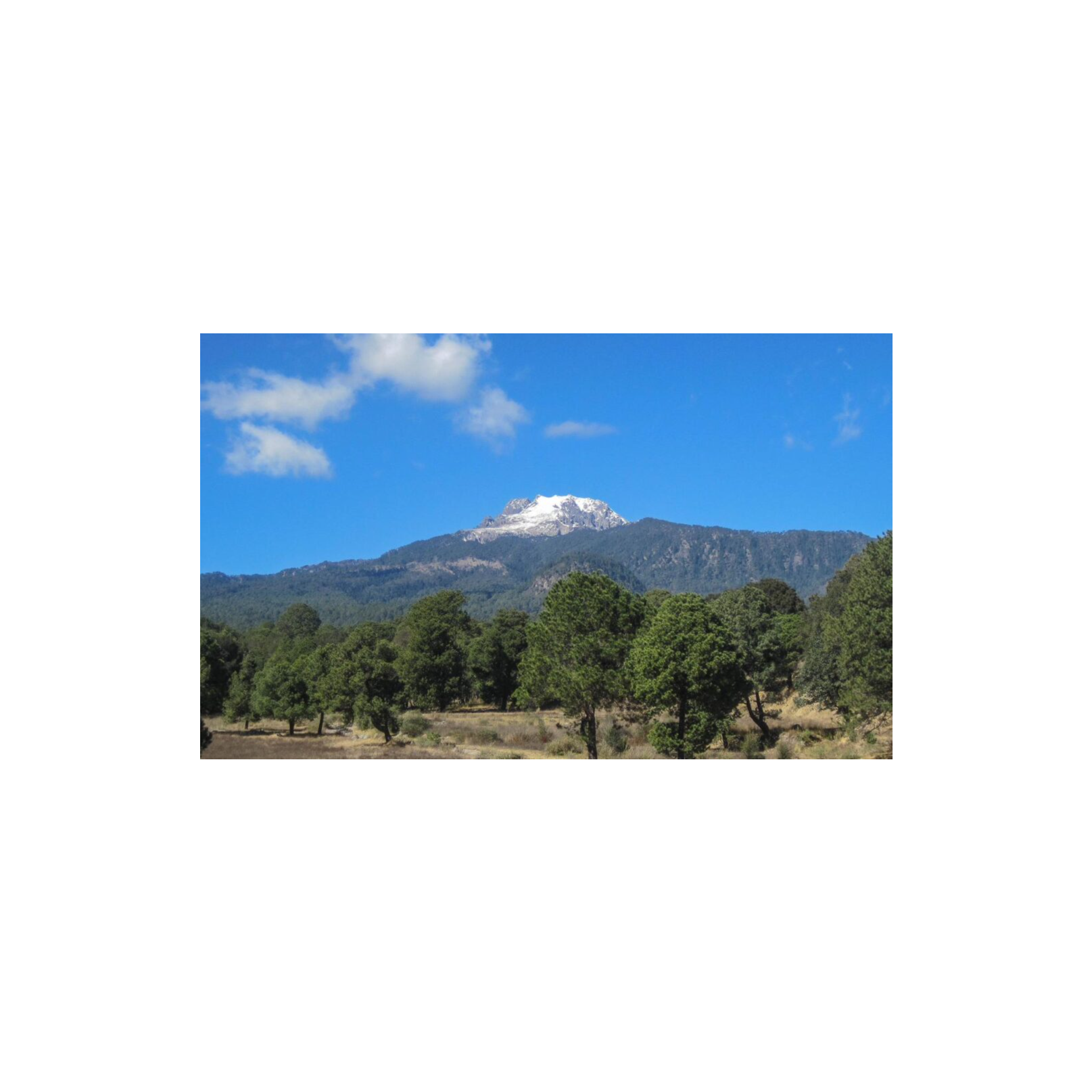 DOS MENORES FALLECEN EN LAS FALDAS DE LA MALINCHE; AUTORIDADES HABLAN DE UN POSIBLE ATENTADO CONTRA SU VIDA 😔🚨🌄