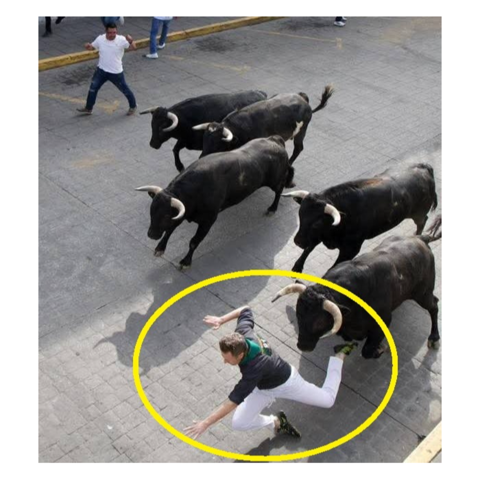 🟥 CIUDADANO ESTADUNIDENSE RESULTA LESIONADO DURANTE ENCIERRO DE TOROS TIPO PAMPLONA EN HUAMANTLA 🐂⚠️🏥