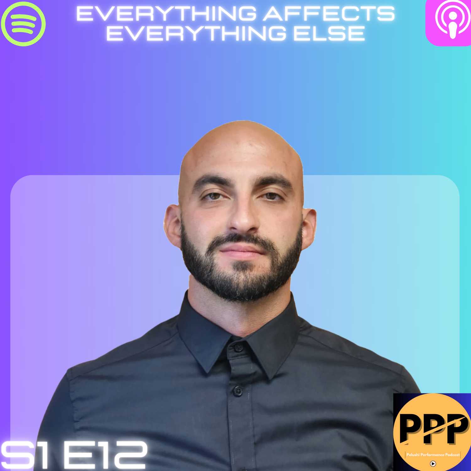 S1:E12 - Everything affects everything else  episode artwork