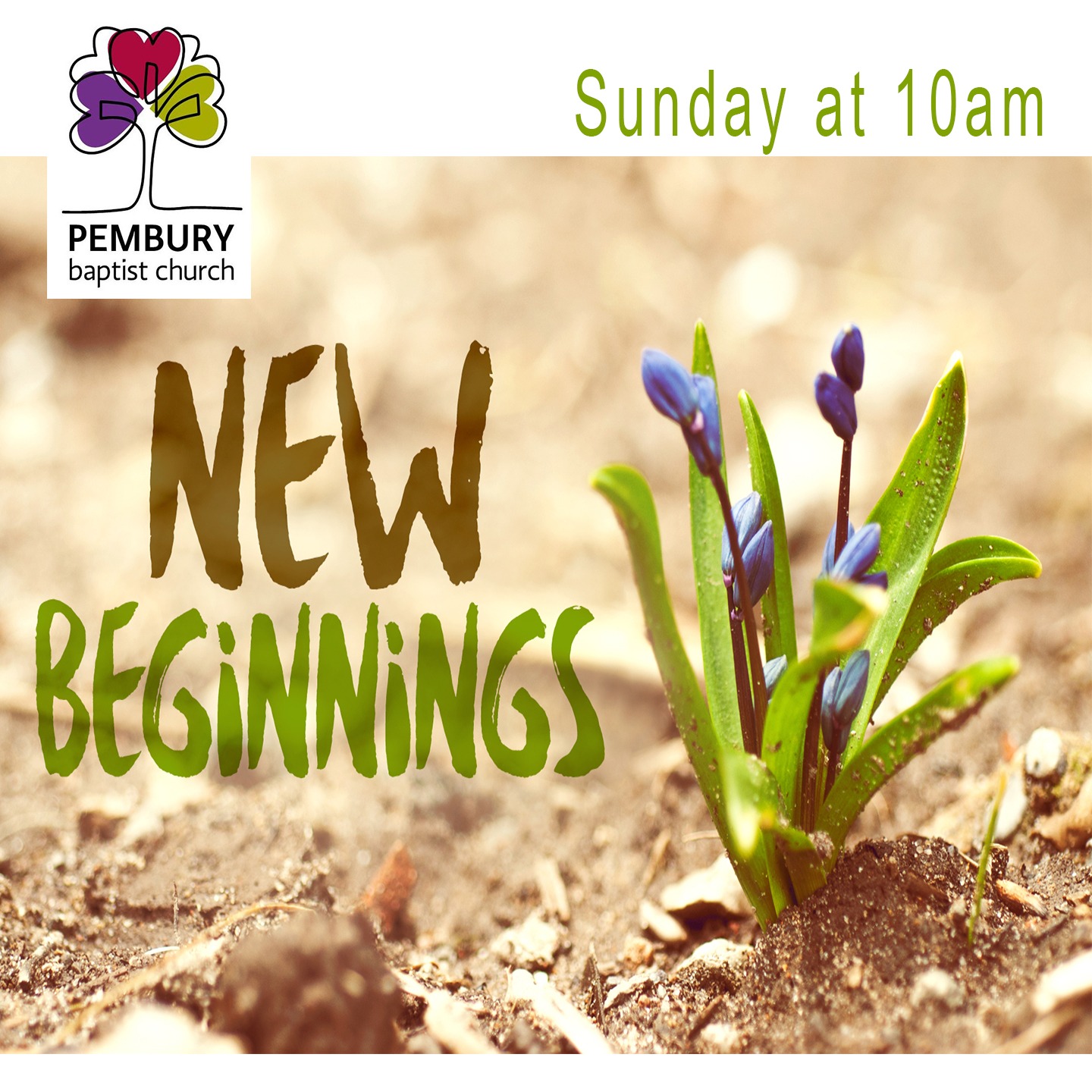 Pembury Baptist Church Podcast