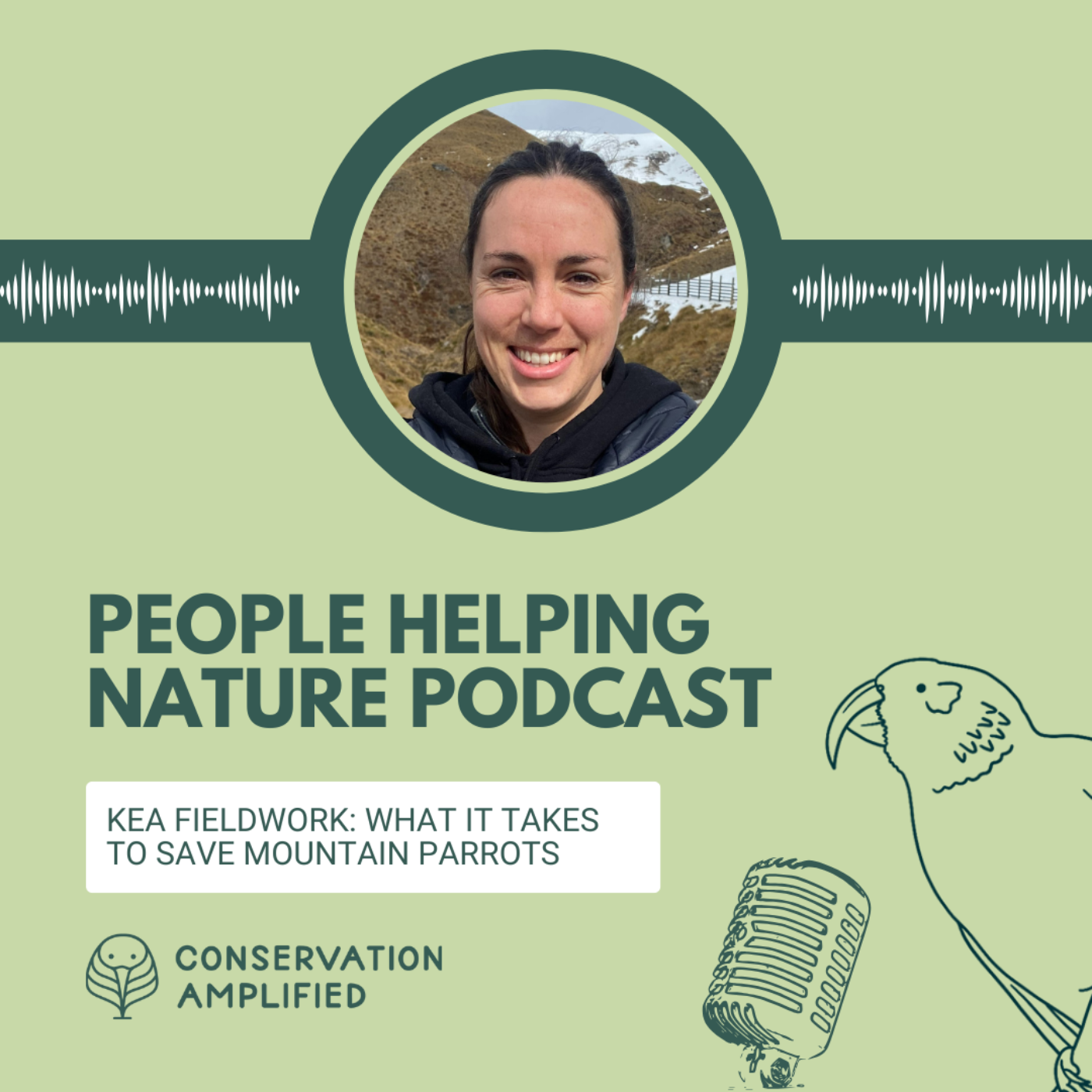 Kea Fieldwork: What it Takes to Save Mountain Parrots (part 2 with Lydia McLean)