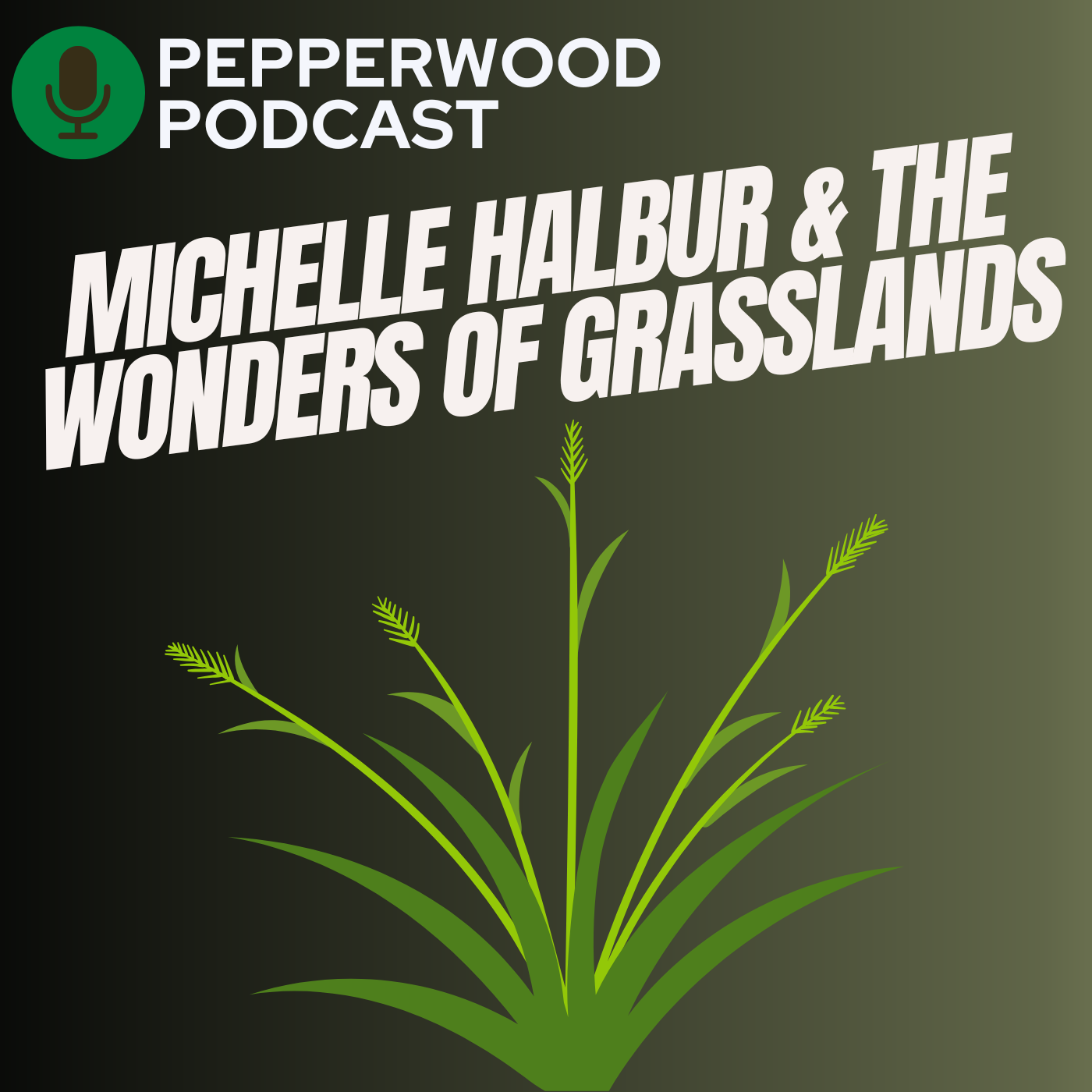 Michelle Halbur and the Wonders of Grasslands
