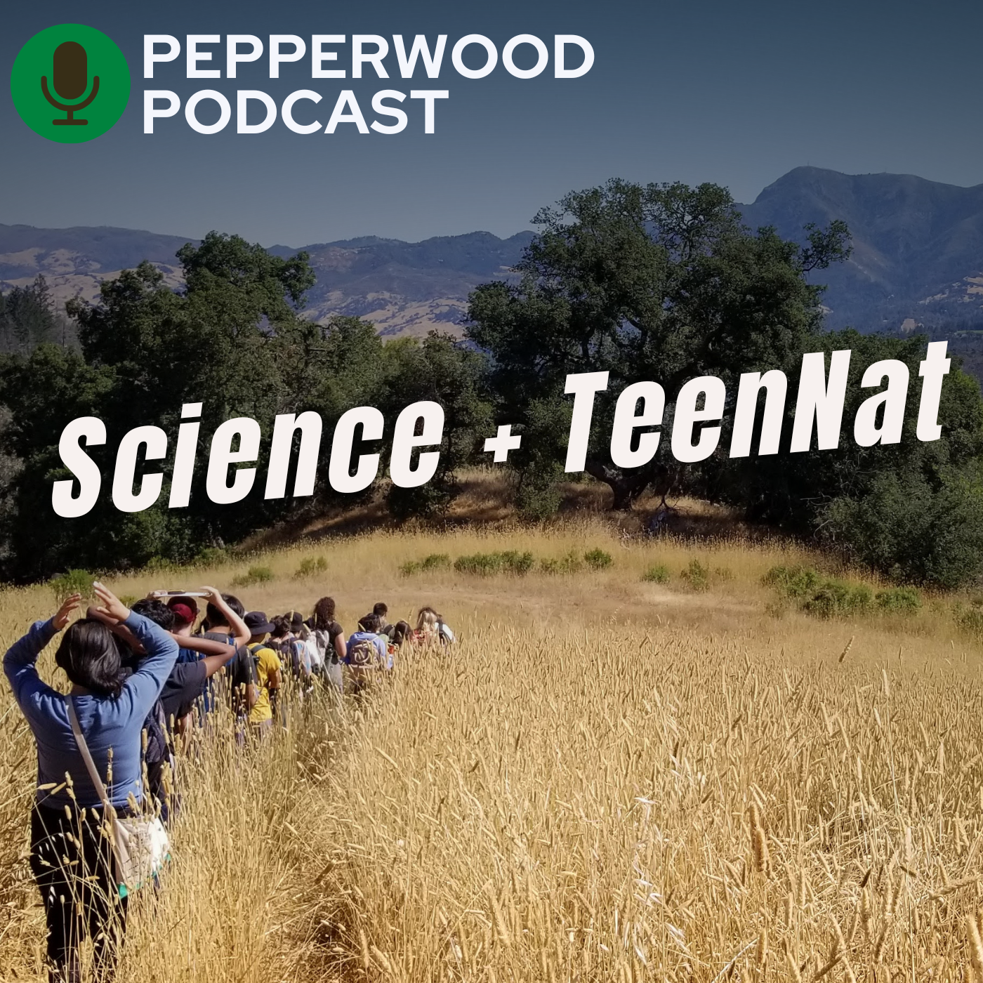 Science in the Summer (and Beyond!) with TeenNat