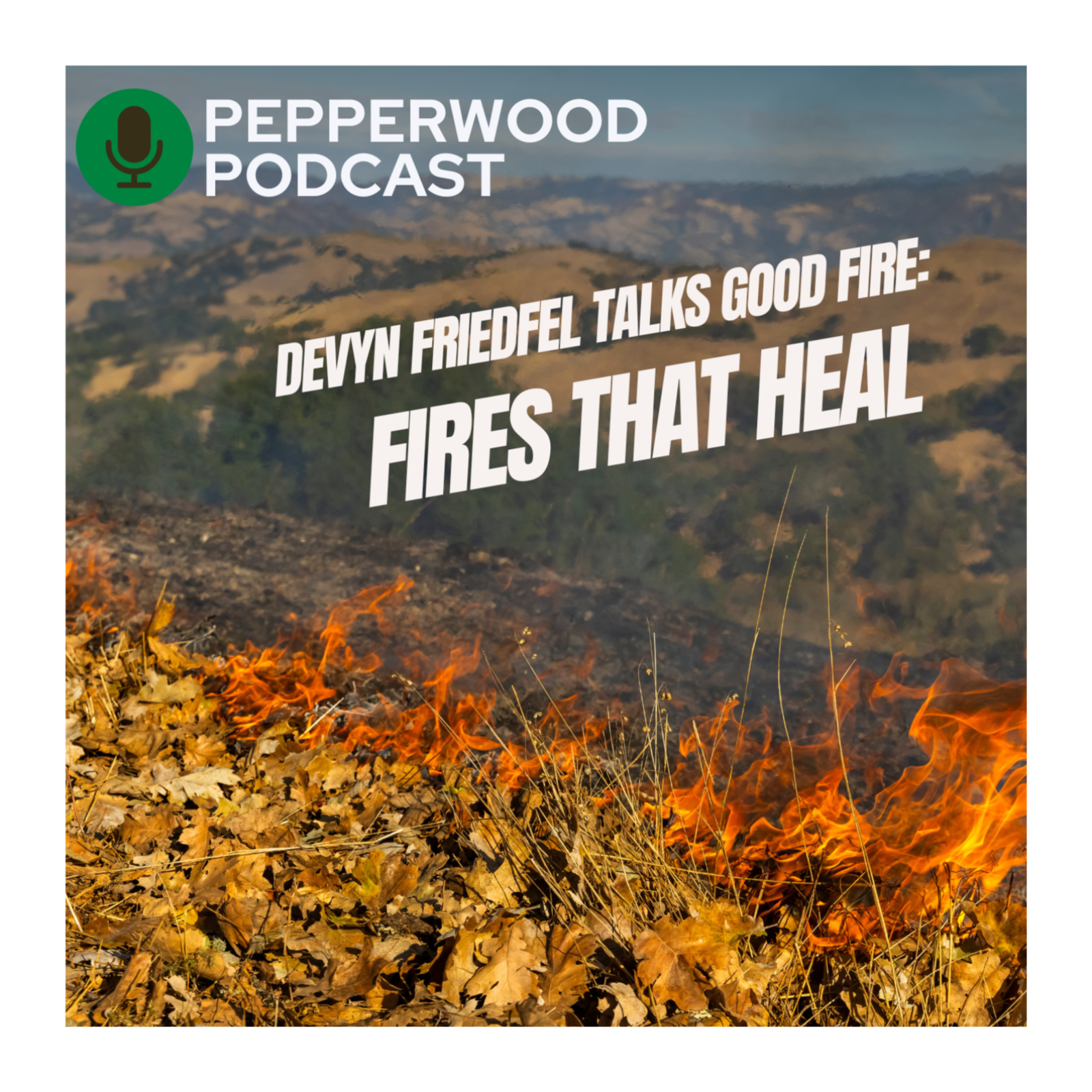 Fires That Heal: The Story of a Broadcast Burn