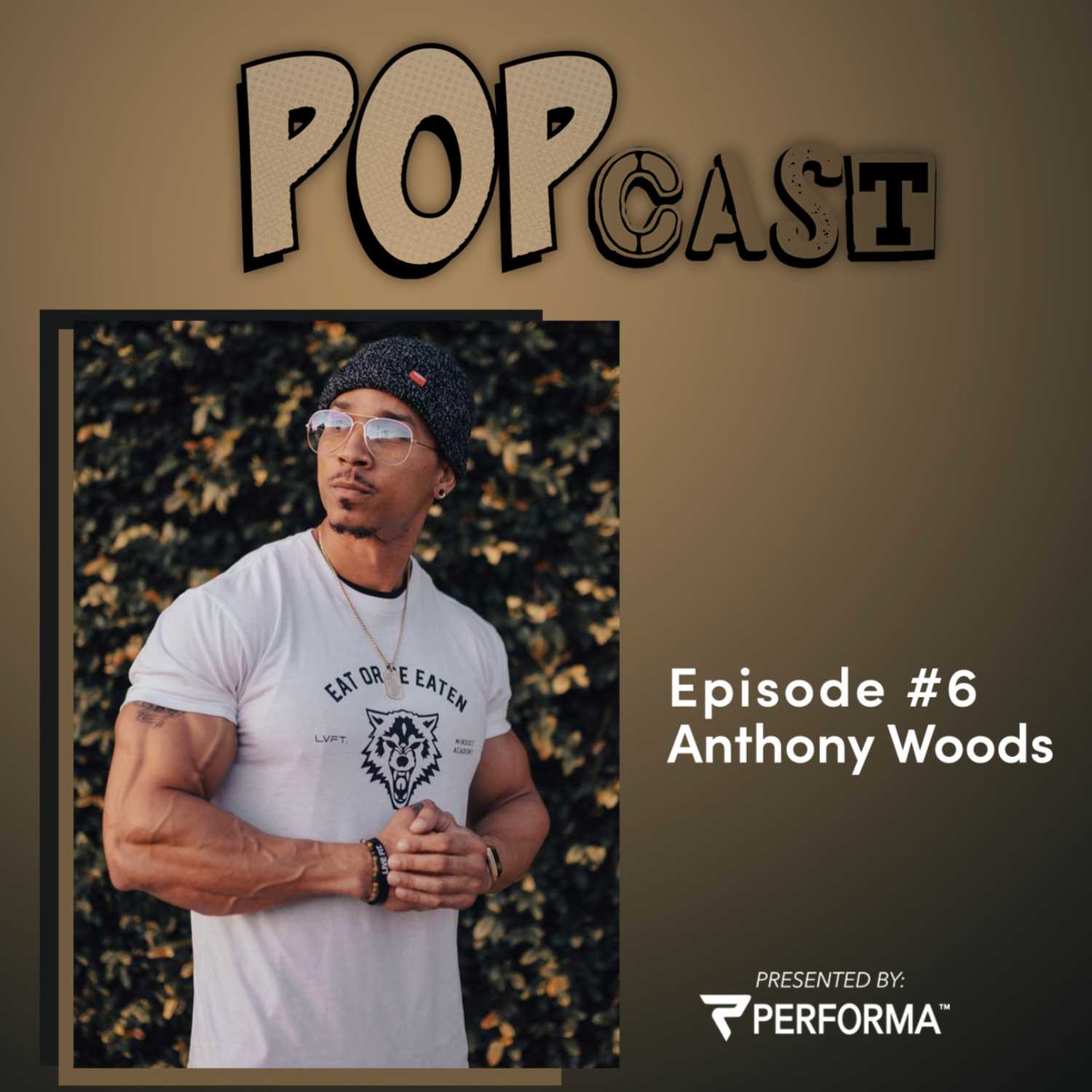PERFORMA POPcast