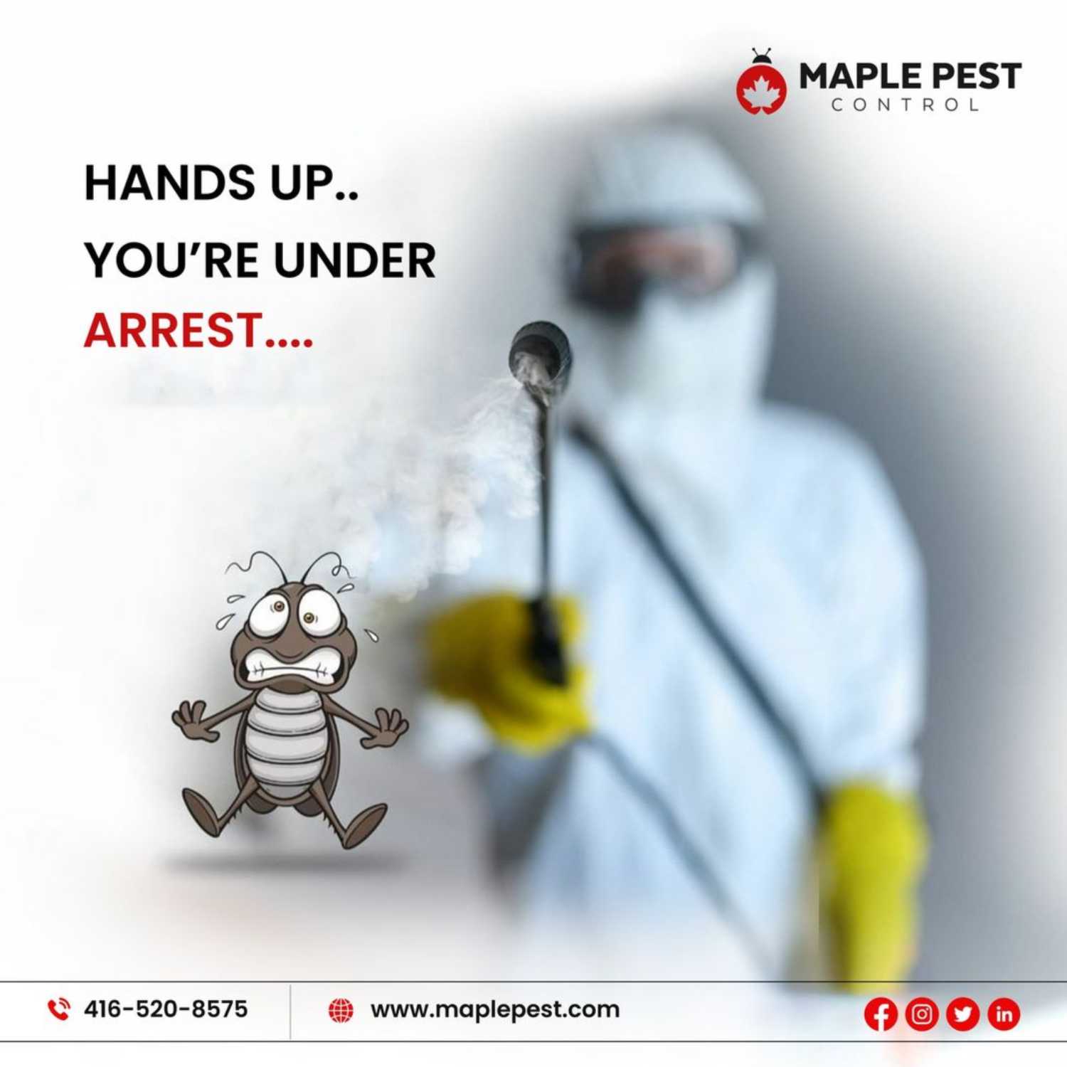 Pest Control Toronto informational podcast Call 416-520-8575 For Quote podcast artwork