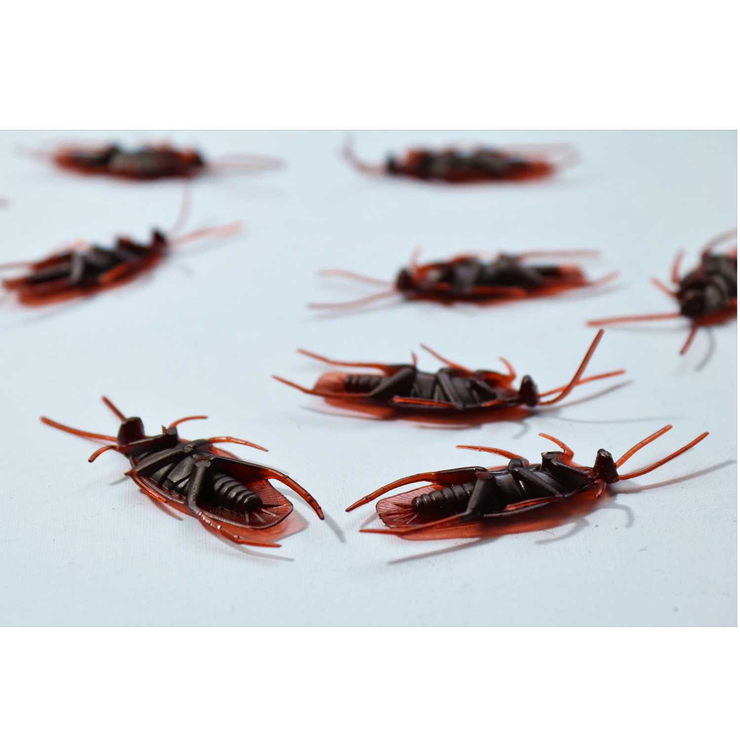 Effective Pest Control in Toronto: Expert Insights and Tips ( maple pest ) episode artwork