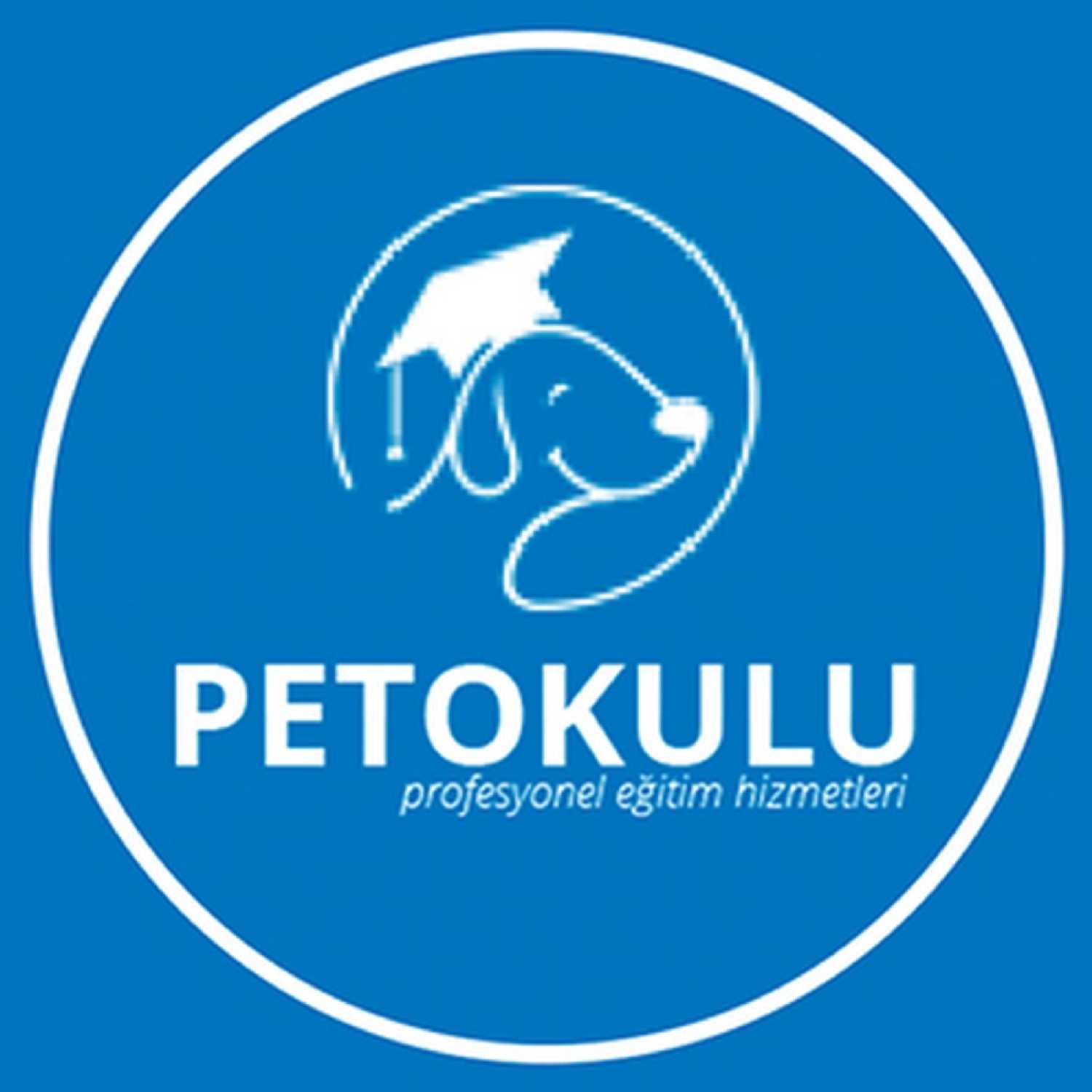 Köpek Eğitim Merkezi İstanbul Pet Kuaför PetOkulu