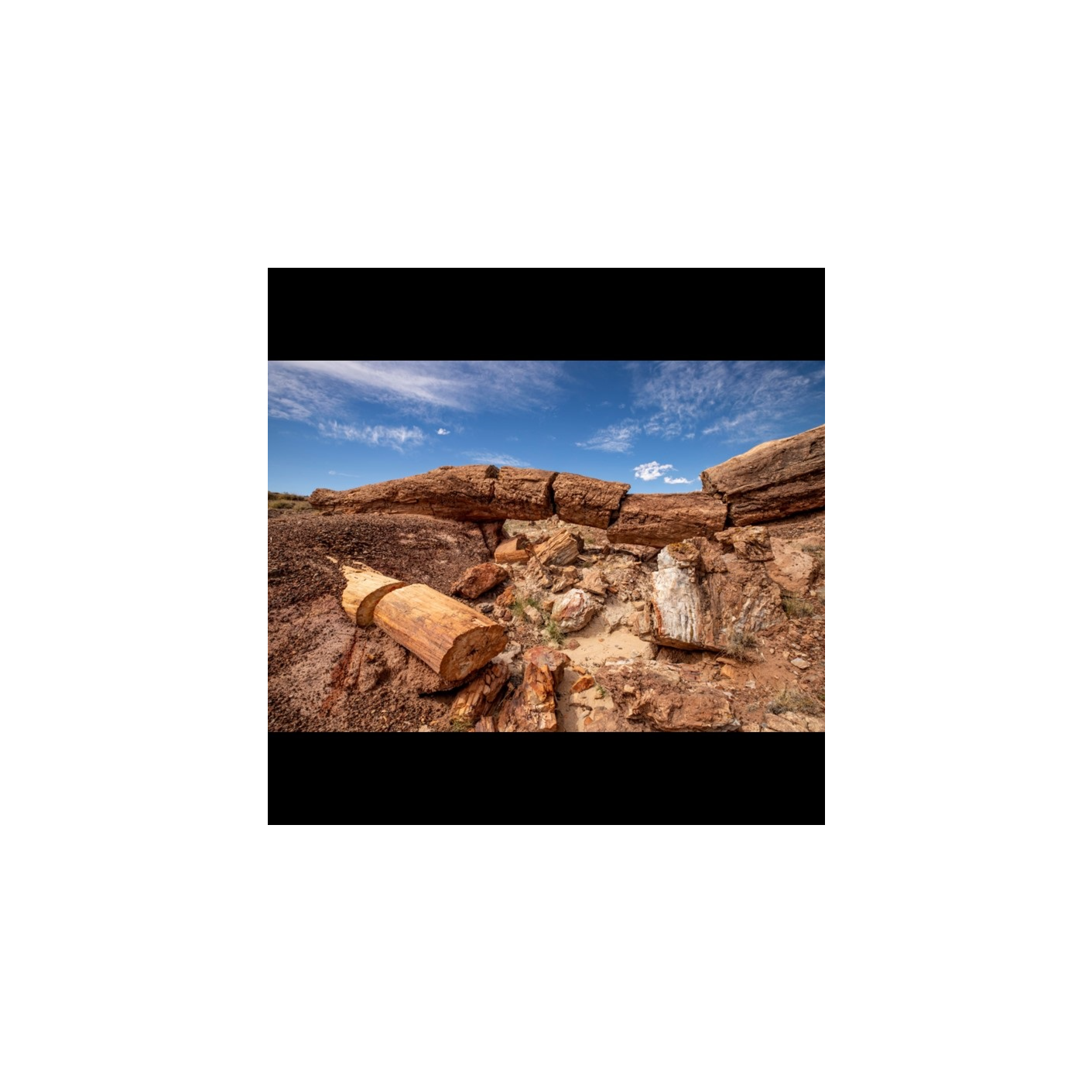 Petrified Forest National Park Audio Tour