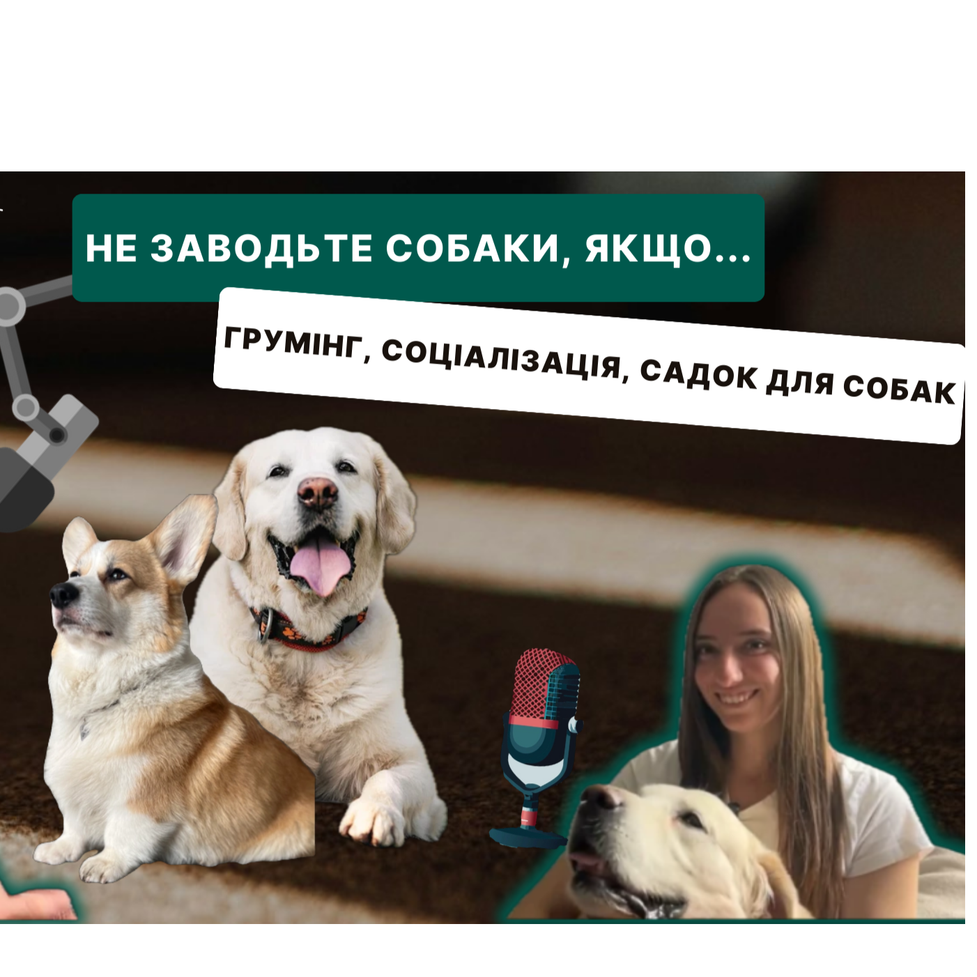 PETs talk - подкаст про тварин та їх власників