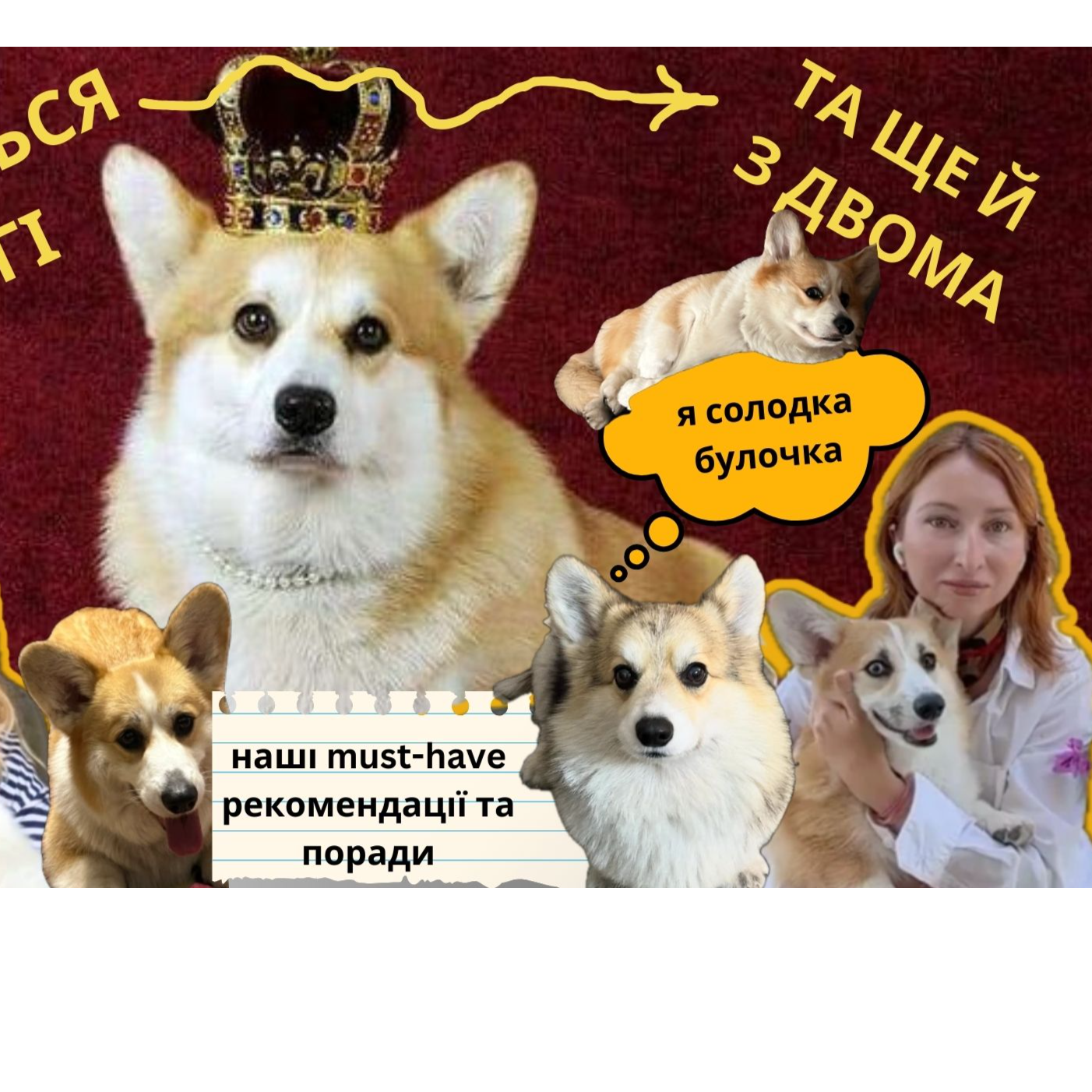 PETs talk - подкаст про тварин та їх власників