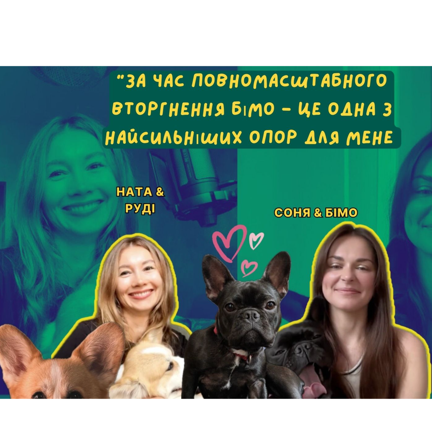 PETs talk - подкаст про тварин та їх власників