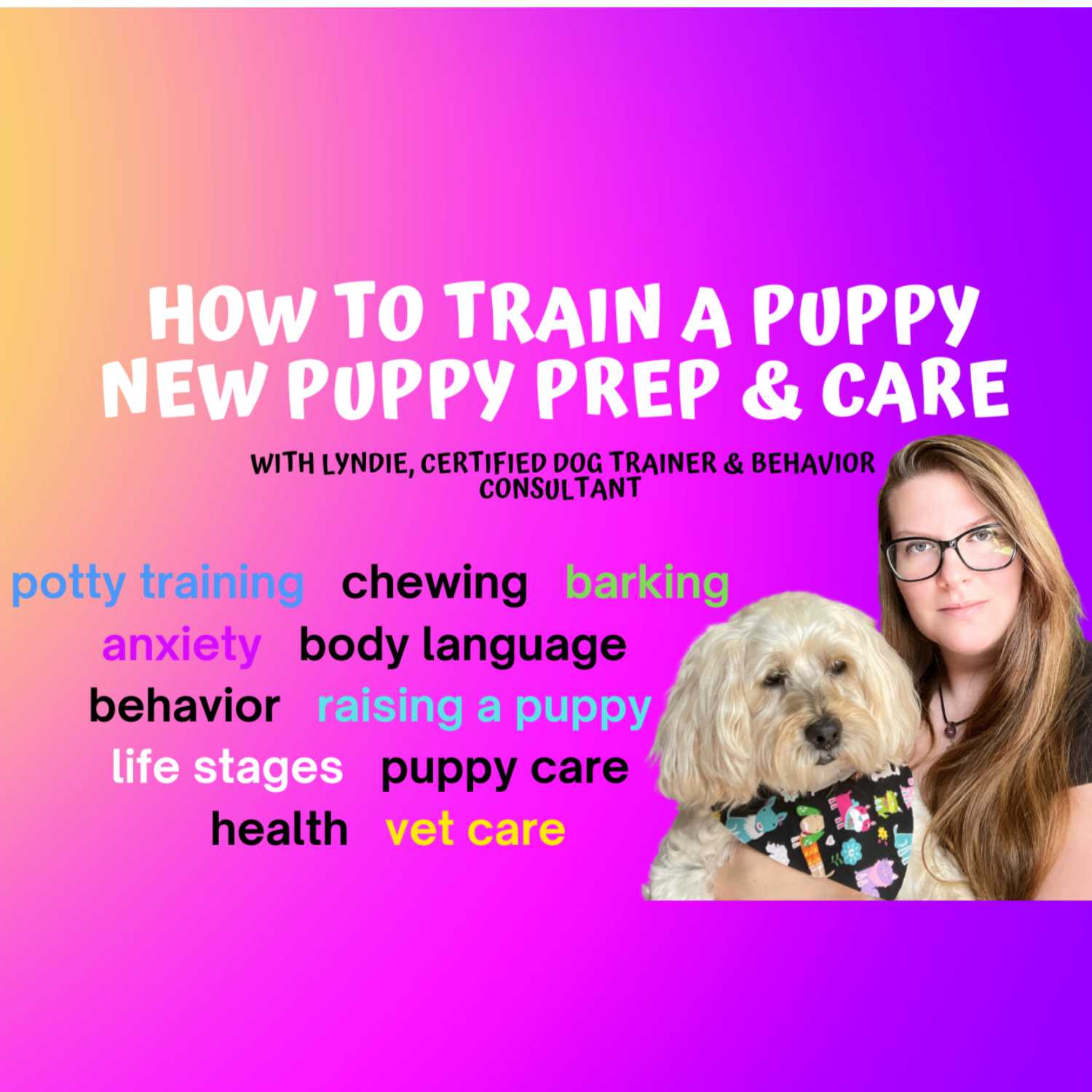 How To Train A Puppy & New Puppy Preparation - Puppy Training & Puppy-proofing Your Life!