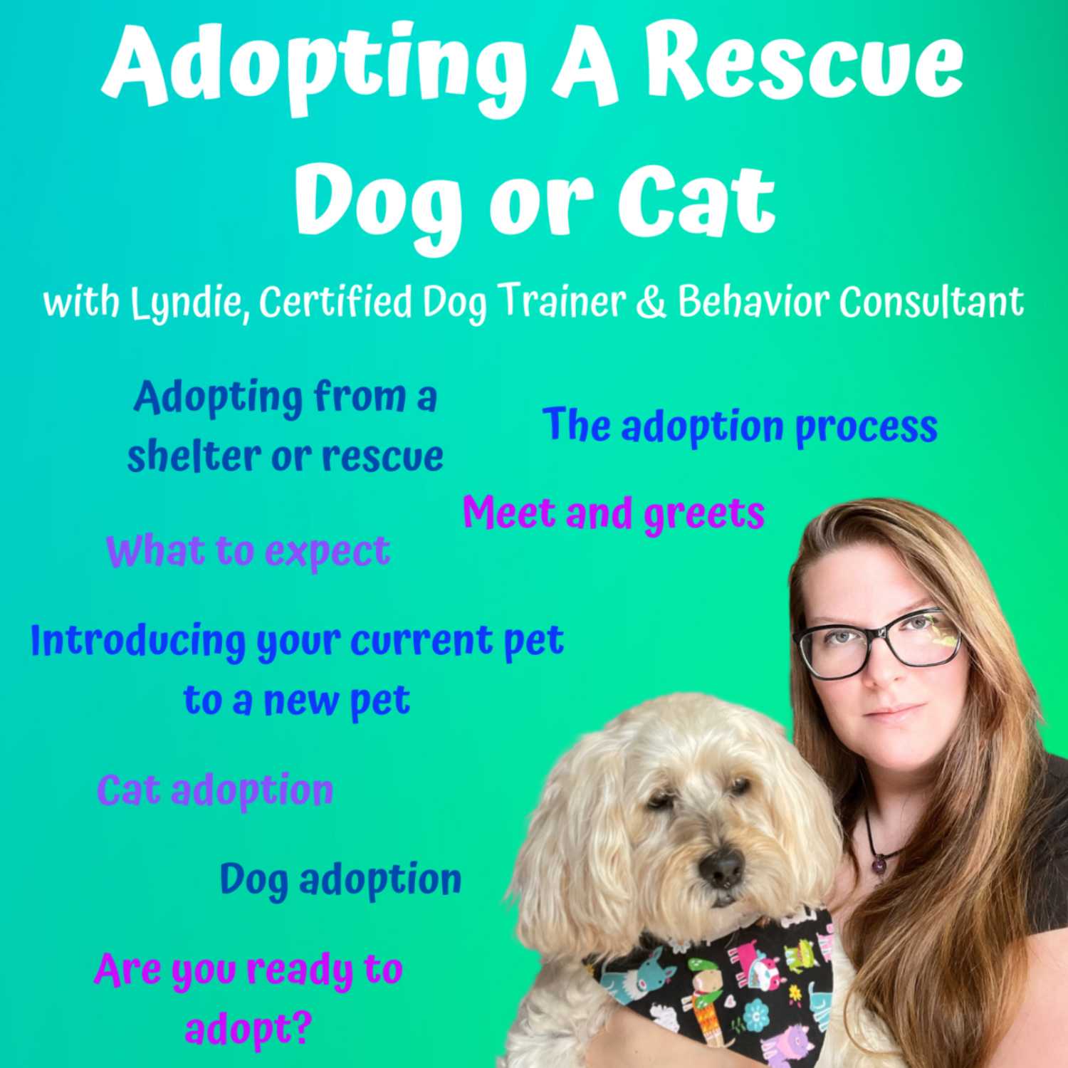 Adopting A Rescue Dog or Cat - Shelter Dog Adoption - Shelter Cat Adoption - Are you ready to adopt?