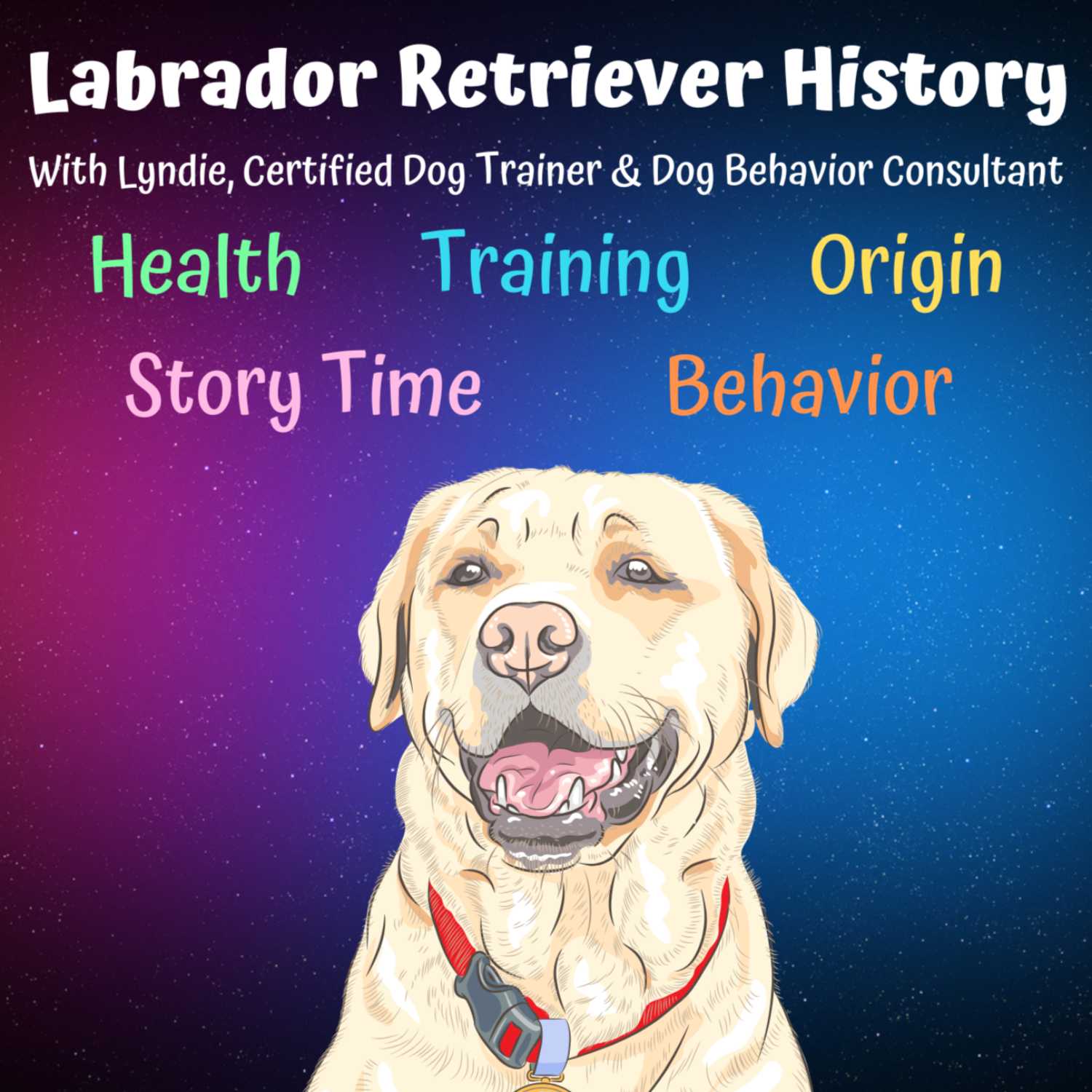Labrador Retriever History - Dogs 101 - Everything You Need to Know About the Labrador Retriever Dog Breed