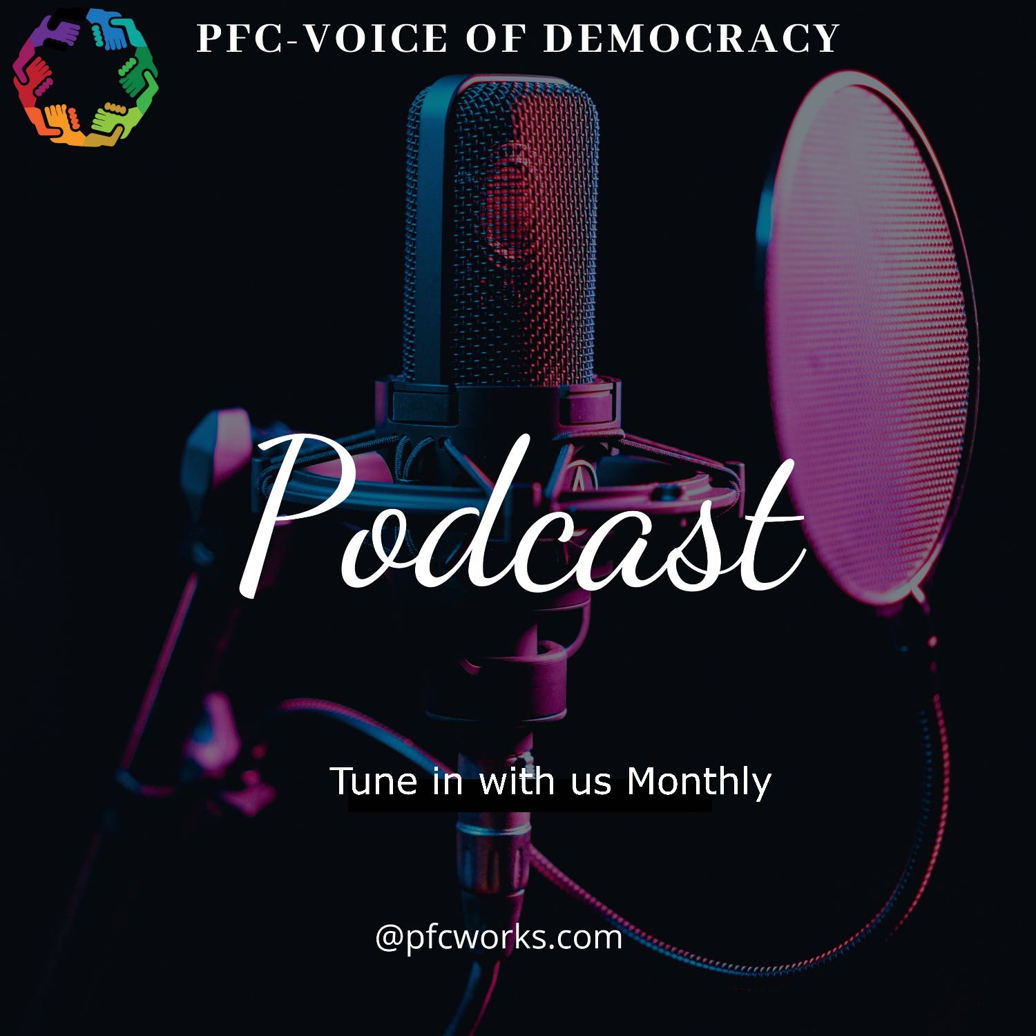 People First Consulting - Voice of Democracy
