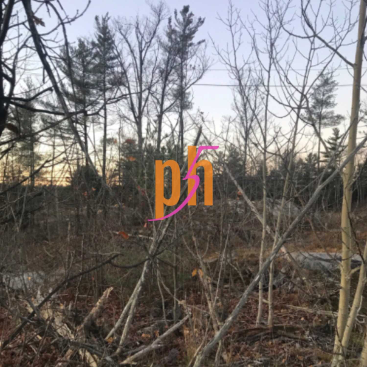 ph5
