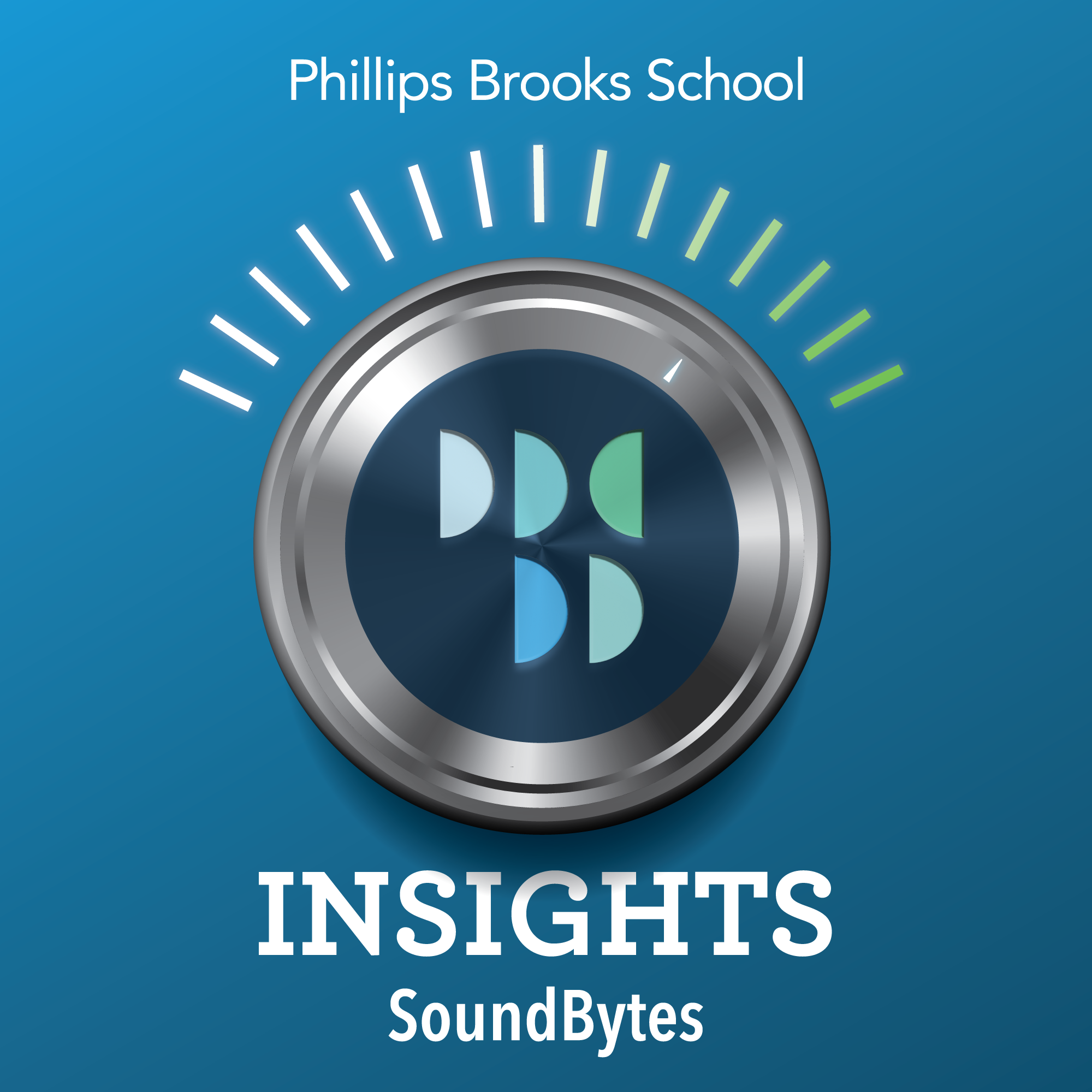 Insights Soundbytes