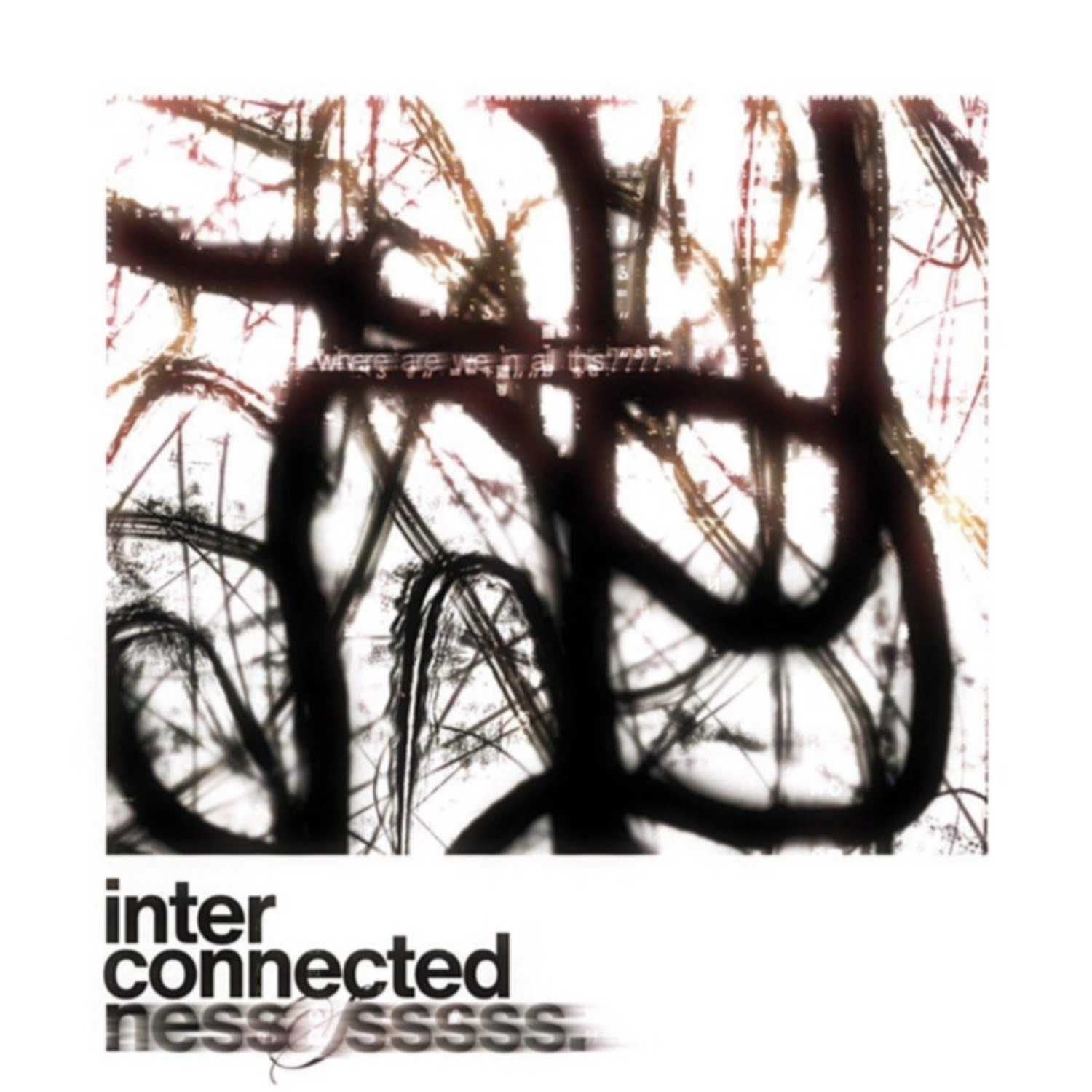 Philosophy (Inter)connected