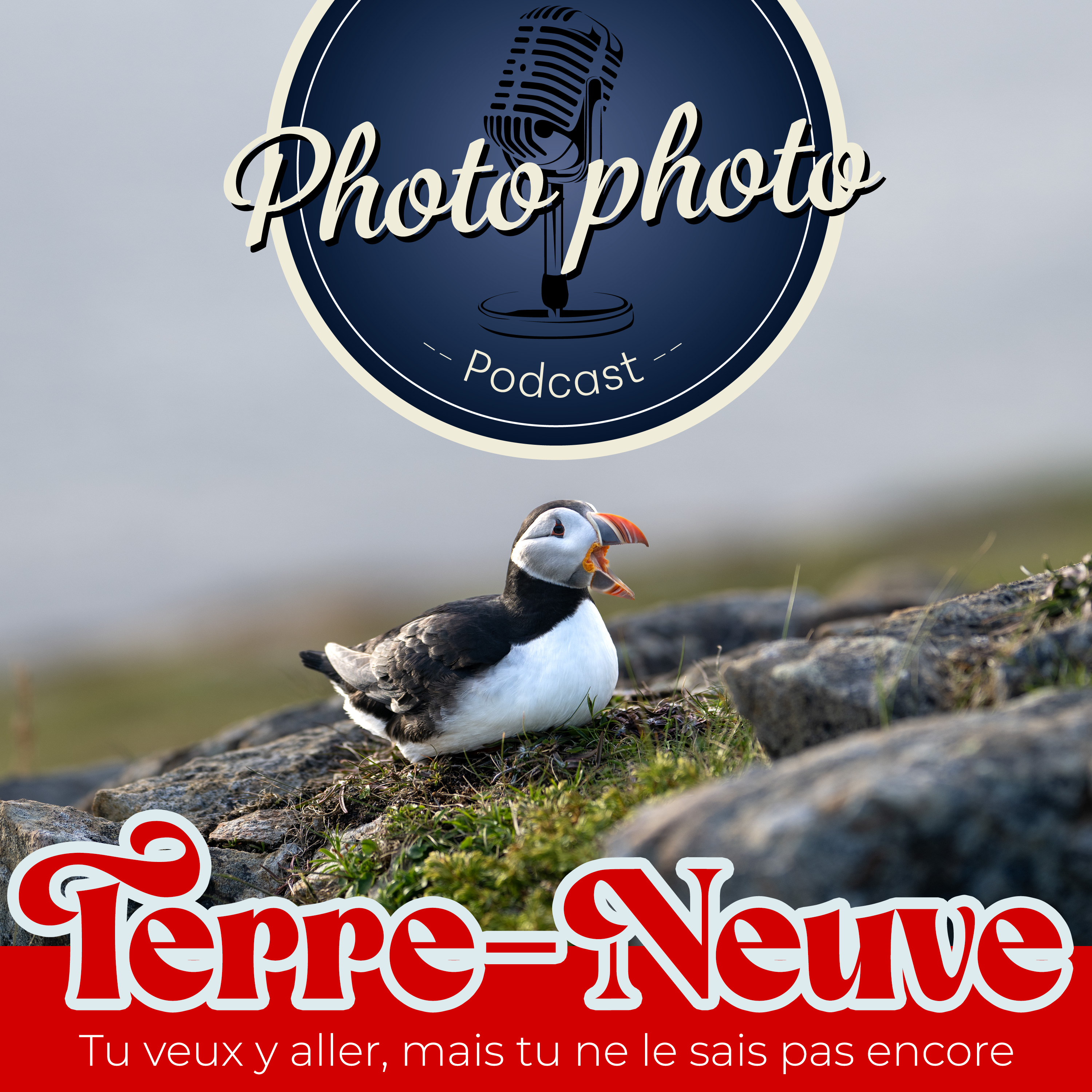 Terre-Neuve: ta prochaine destination photo