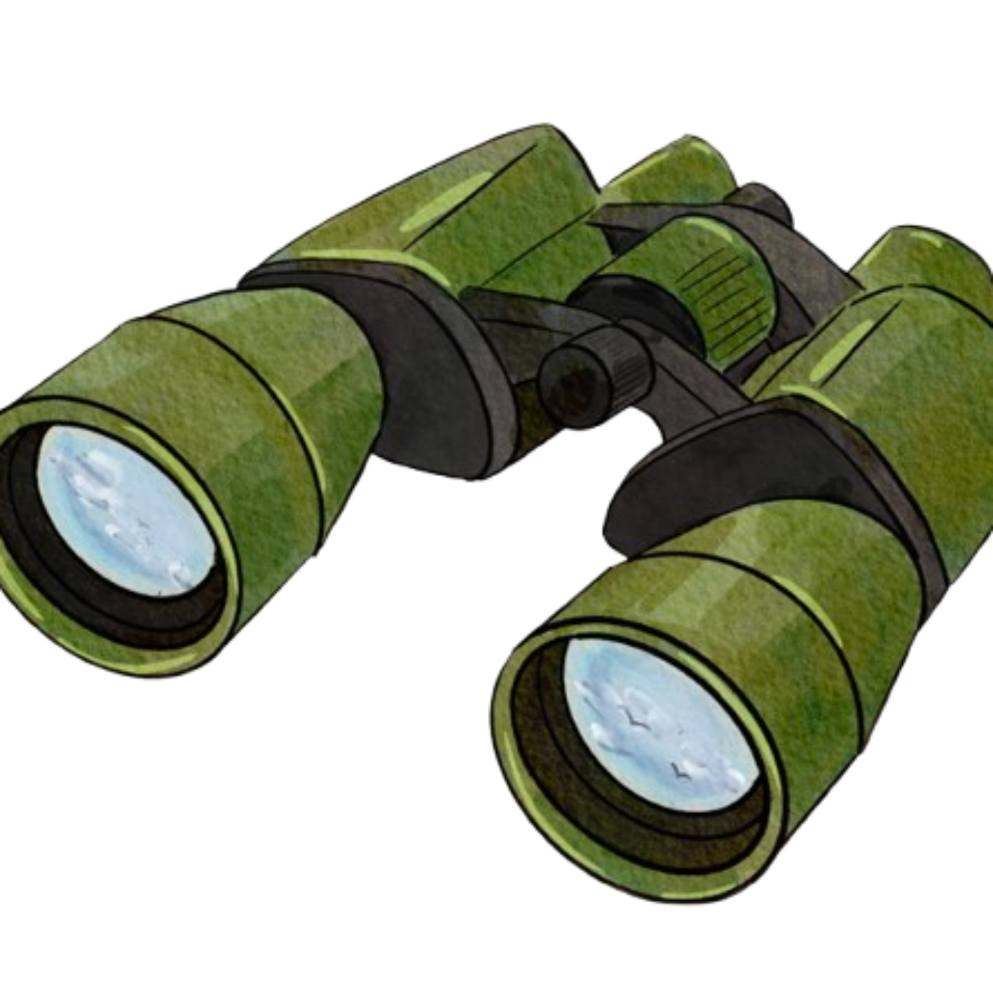 Princeton Birds: Interviewing Local Birdwatchers