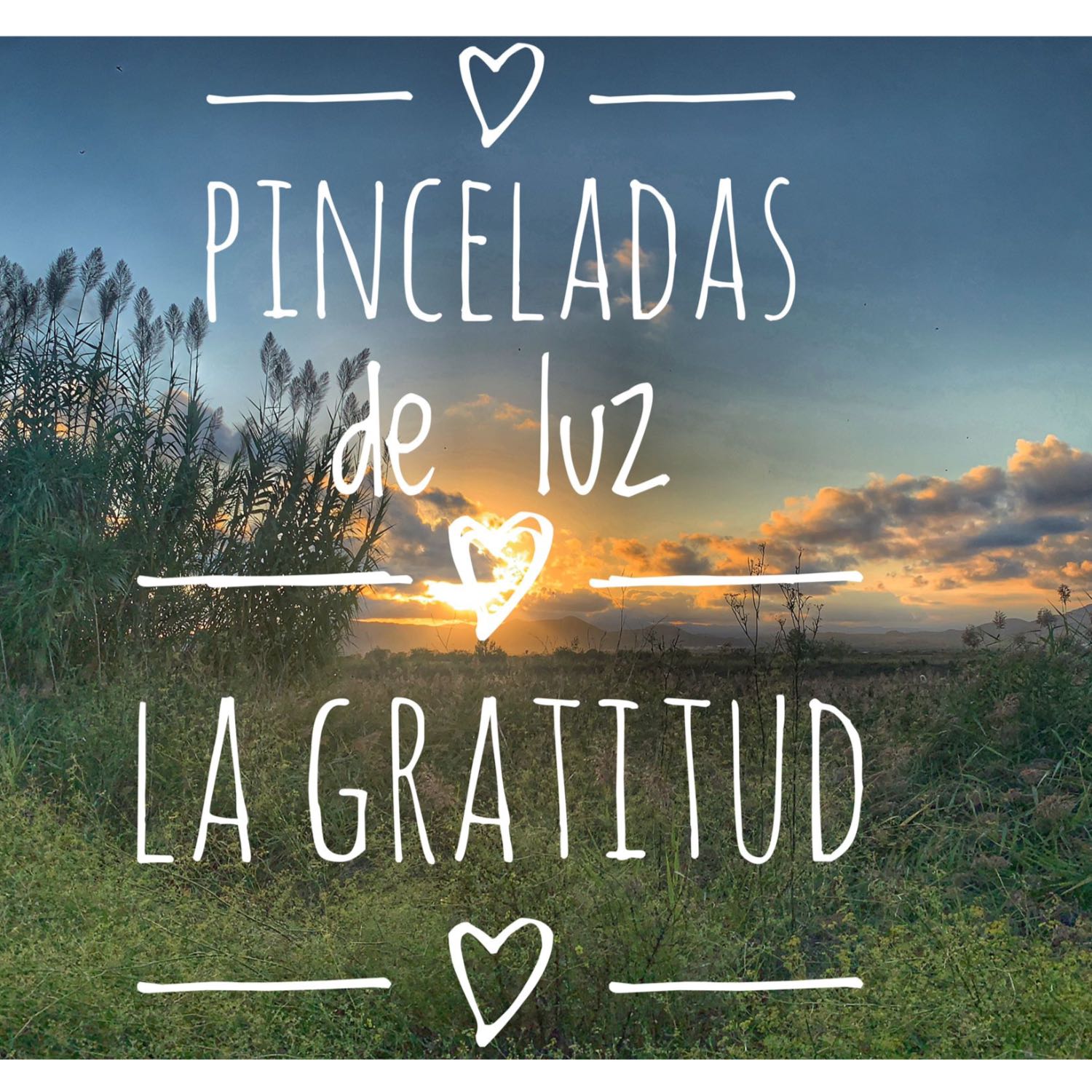 Pinceladas de luz