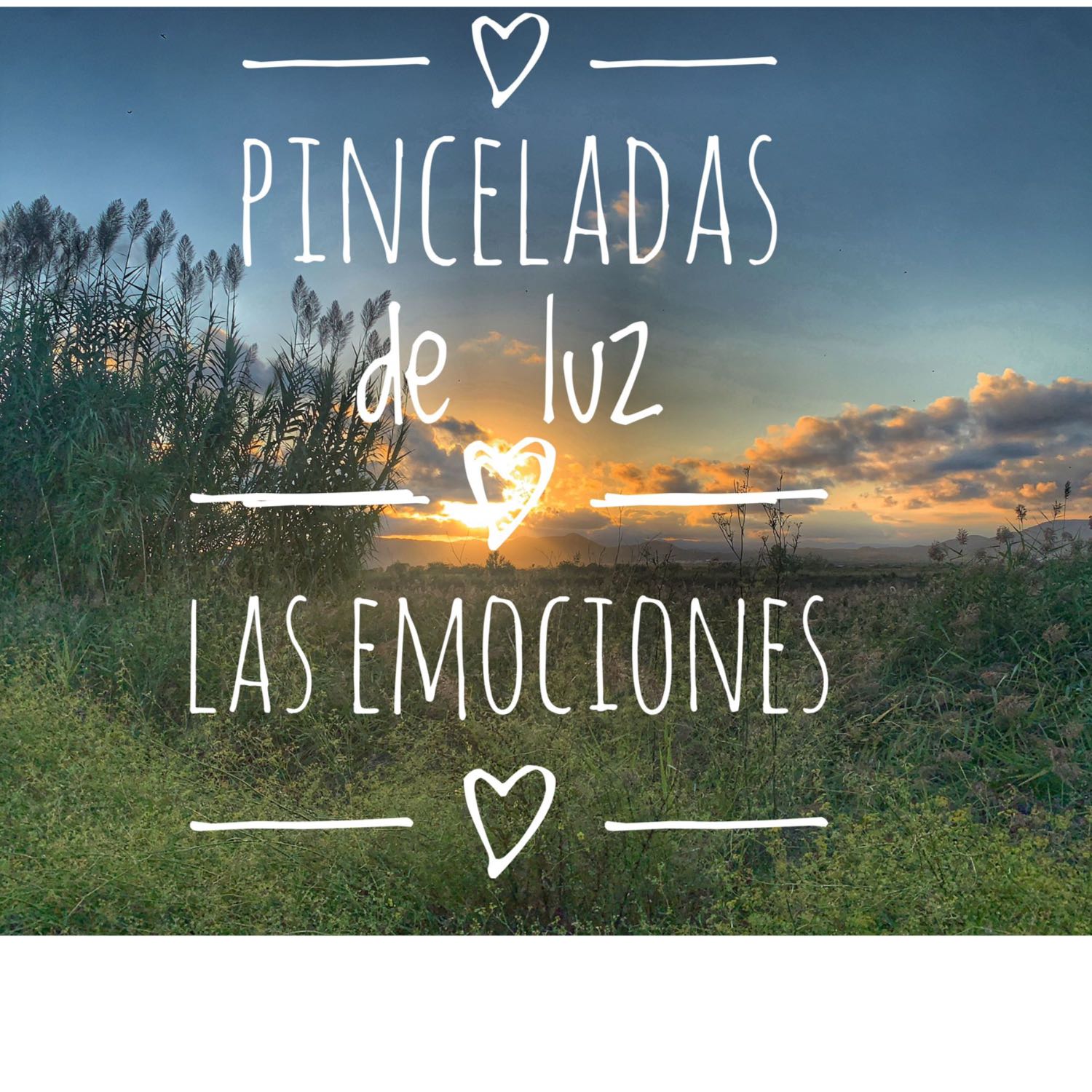 Pinceladas de luz