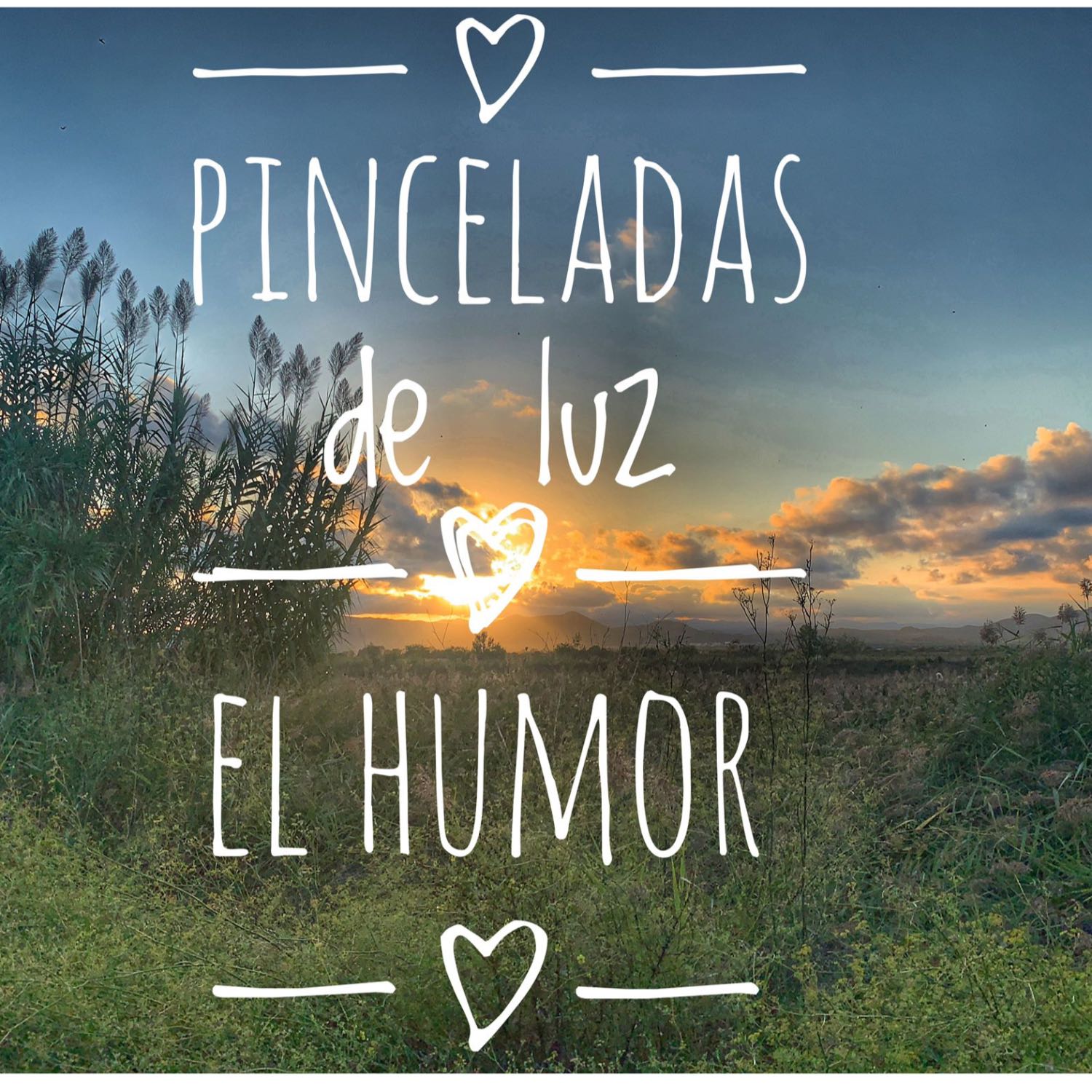 Pinceladas de luz