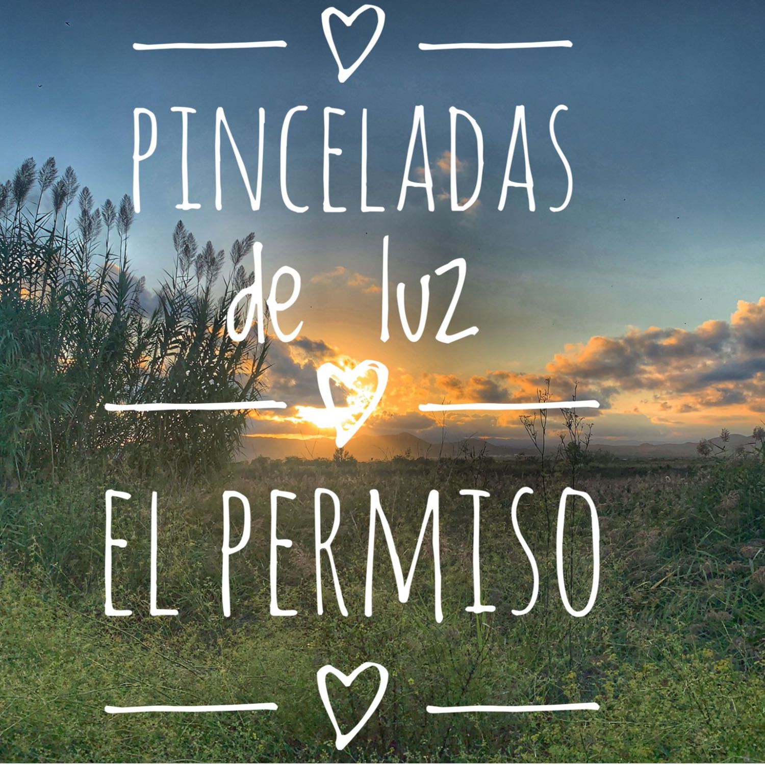 Pinceladas de luz