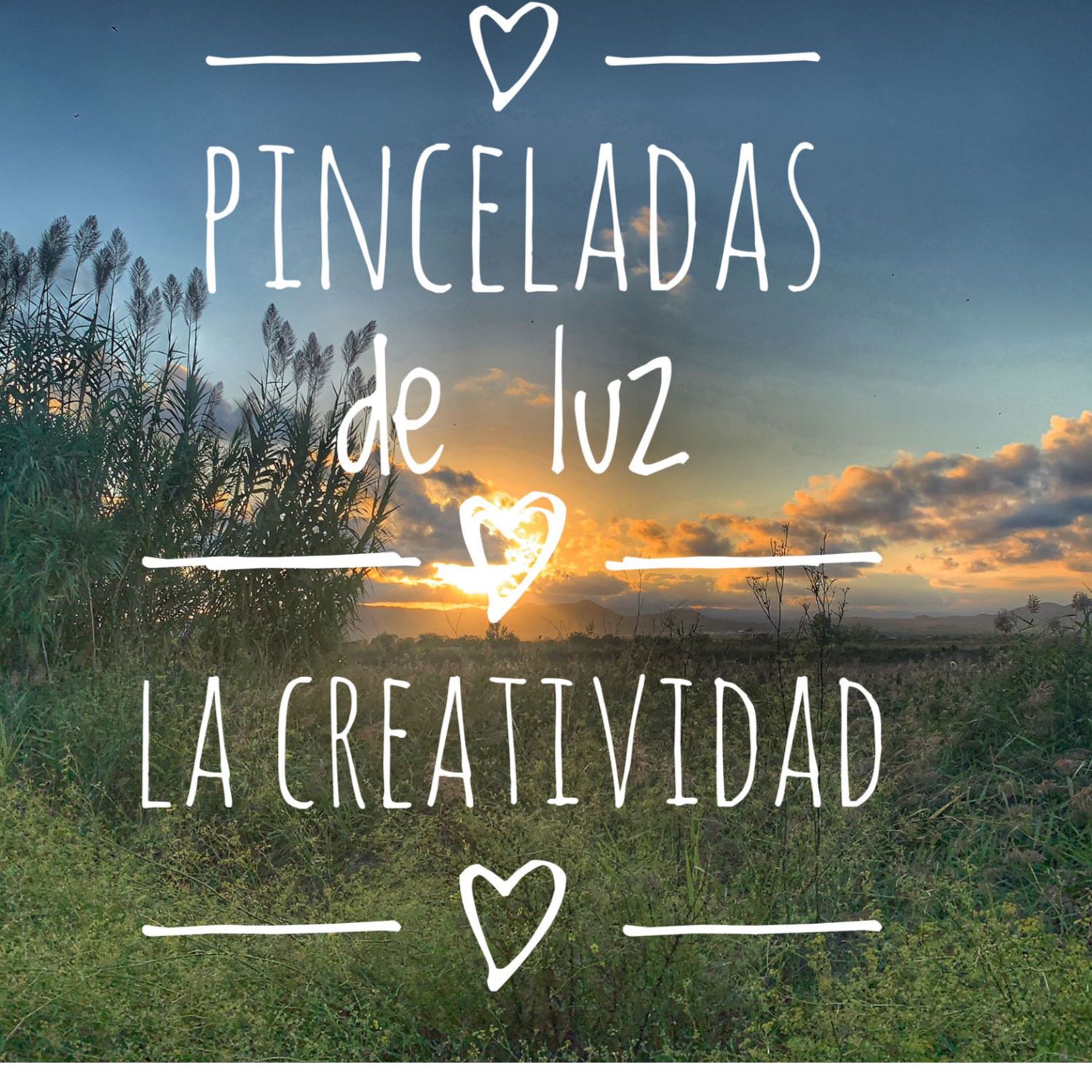Pinceladas de luz