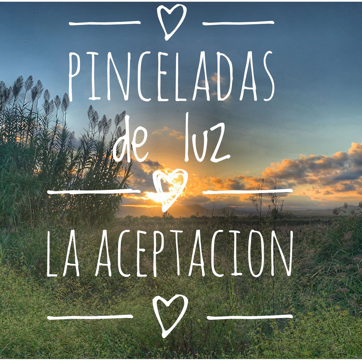 Pinceladas de luz