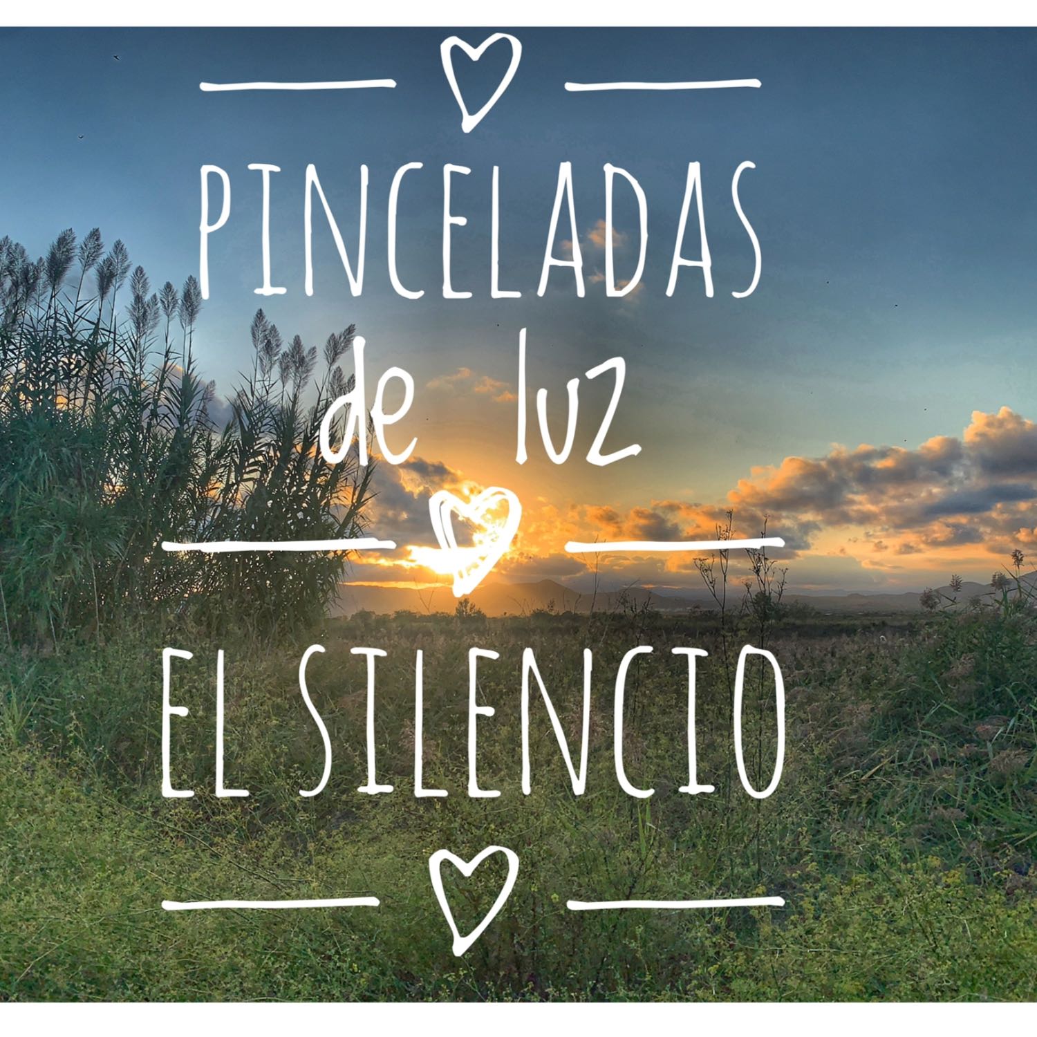 Pinceladas de luz