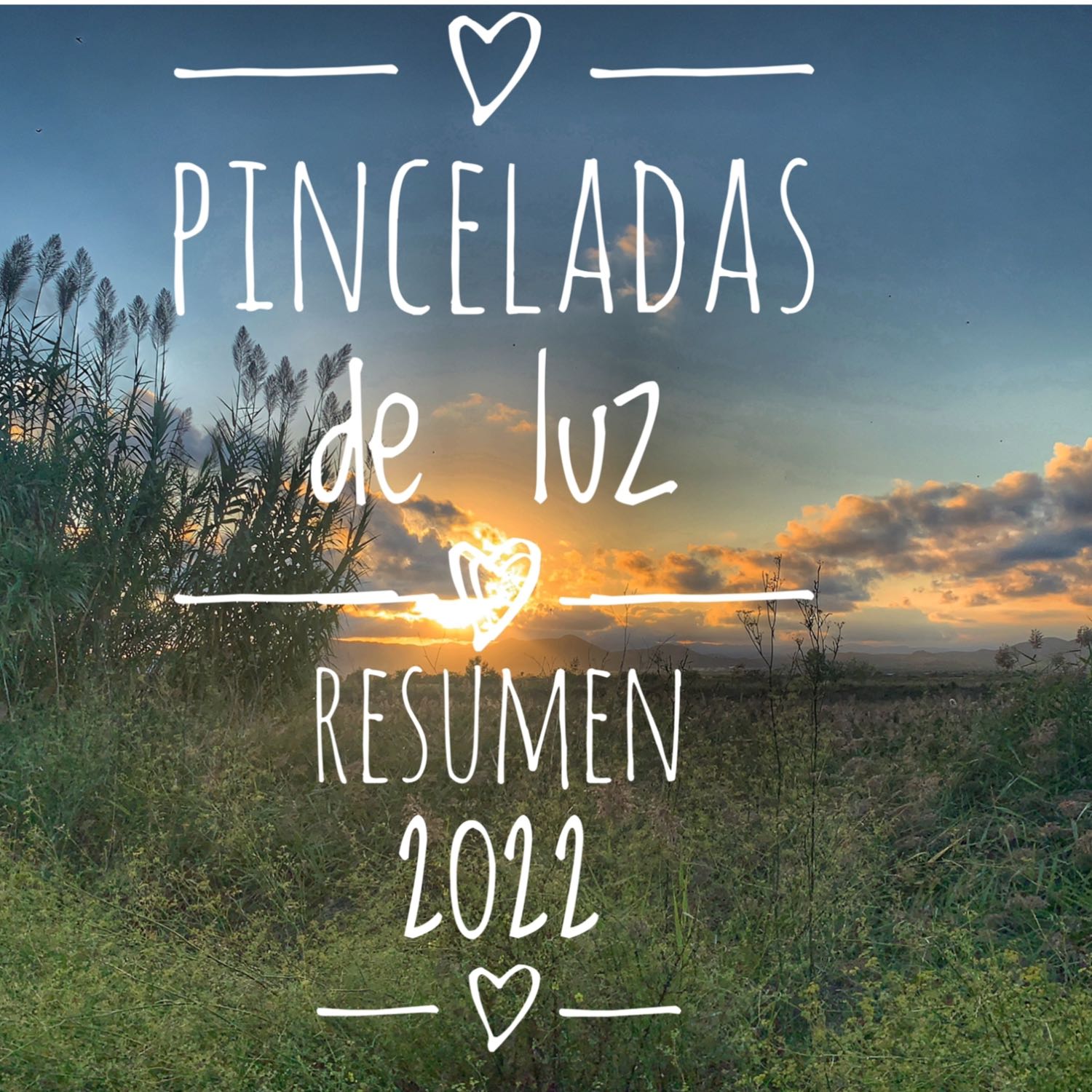 Pinceladas de luz