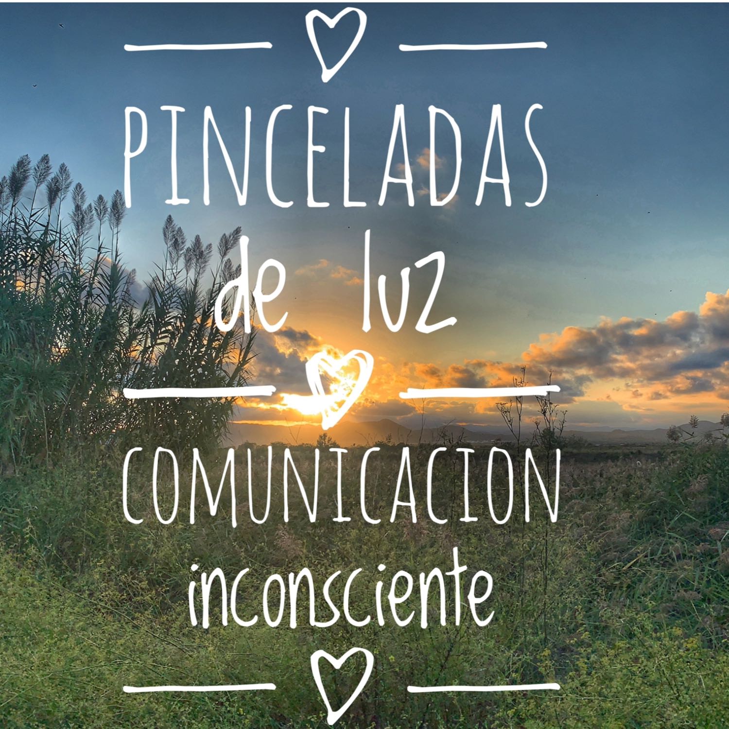 Pinceladas de luz