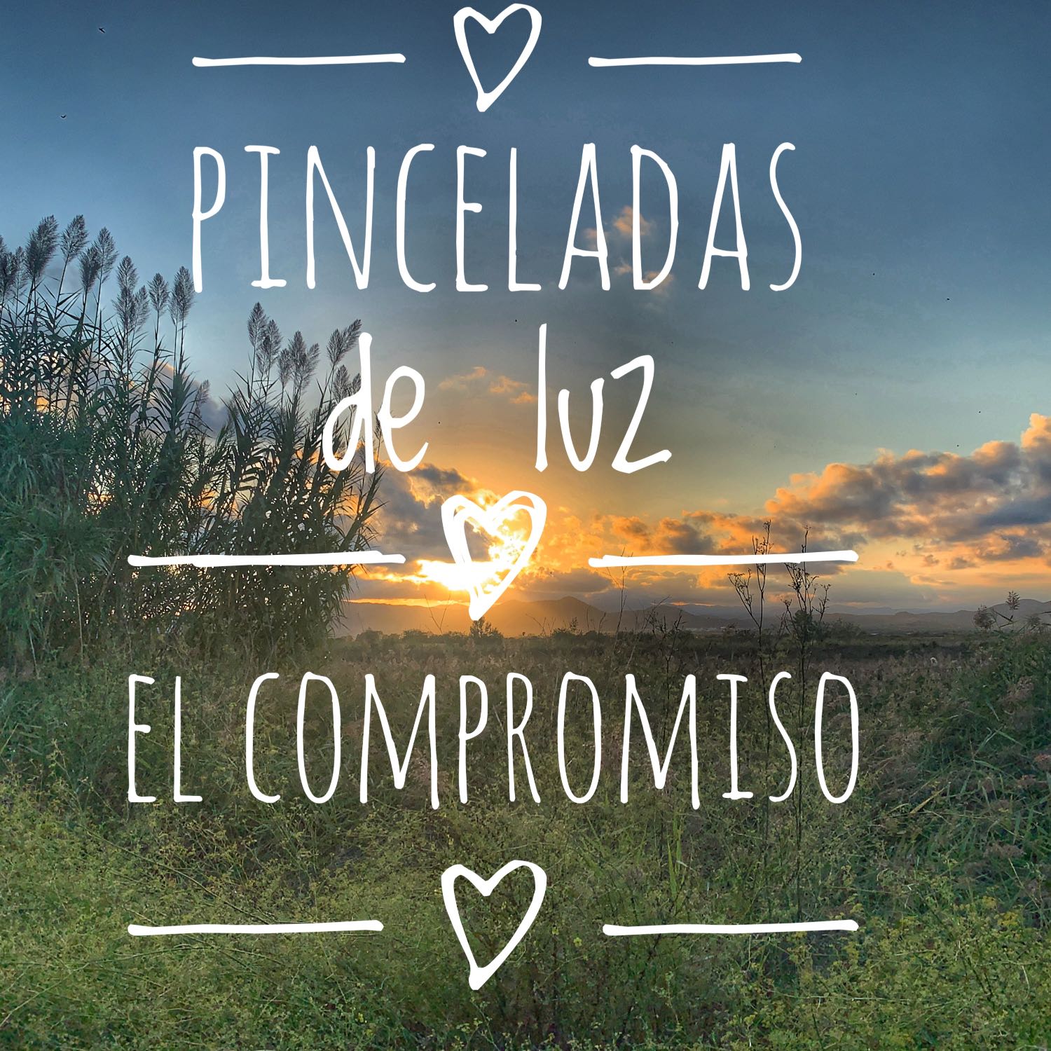 Pinceladas de luz