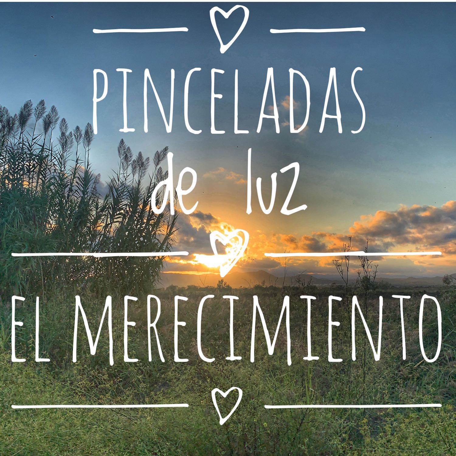 Pinceladas de luz
