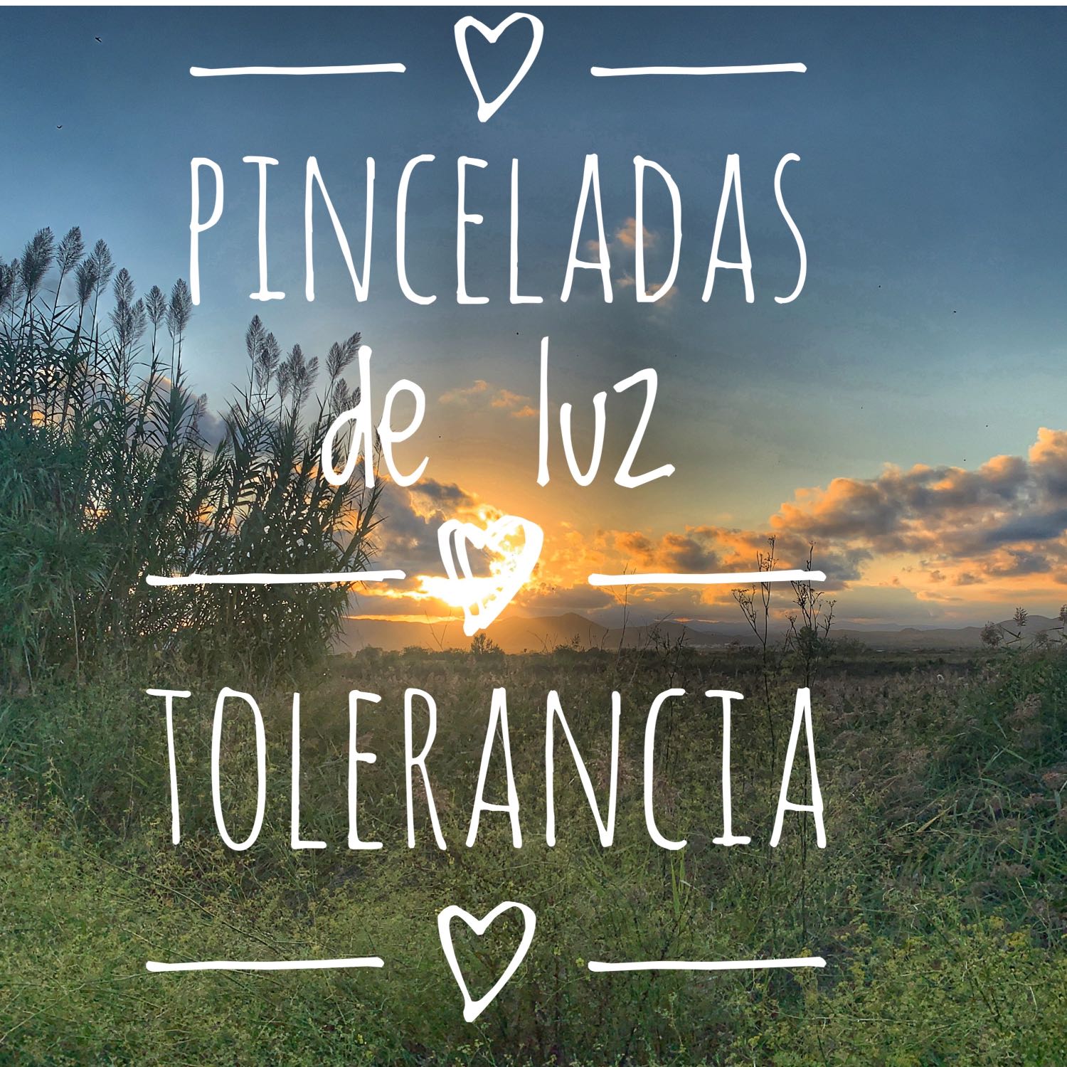 Pinceladas de luz