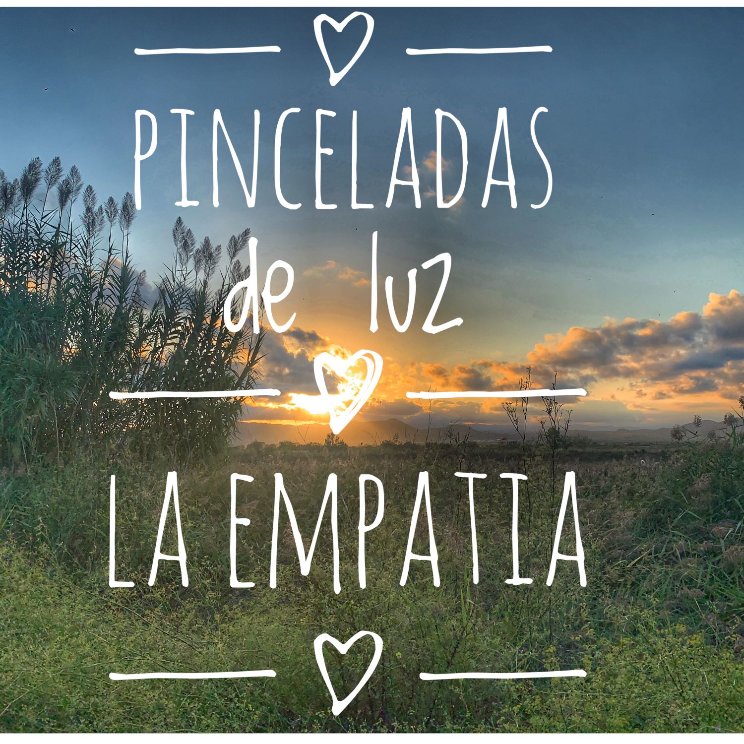 Pinceladas de luz