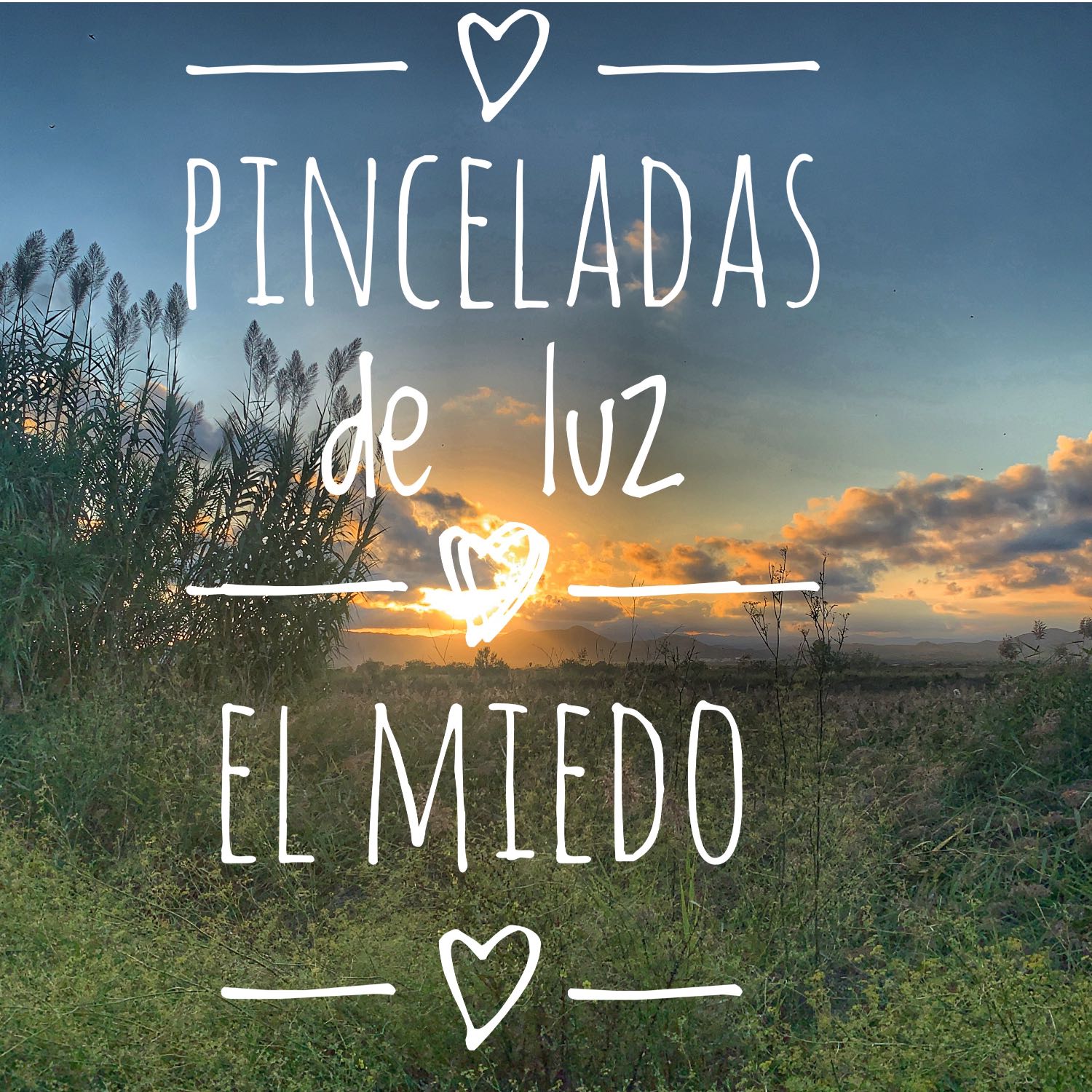 Pinceladas de luz