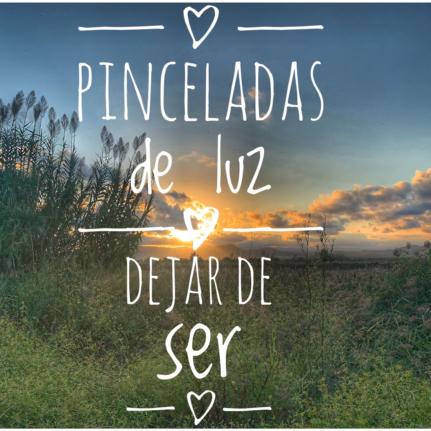 Pinceladas de luz