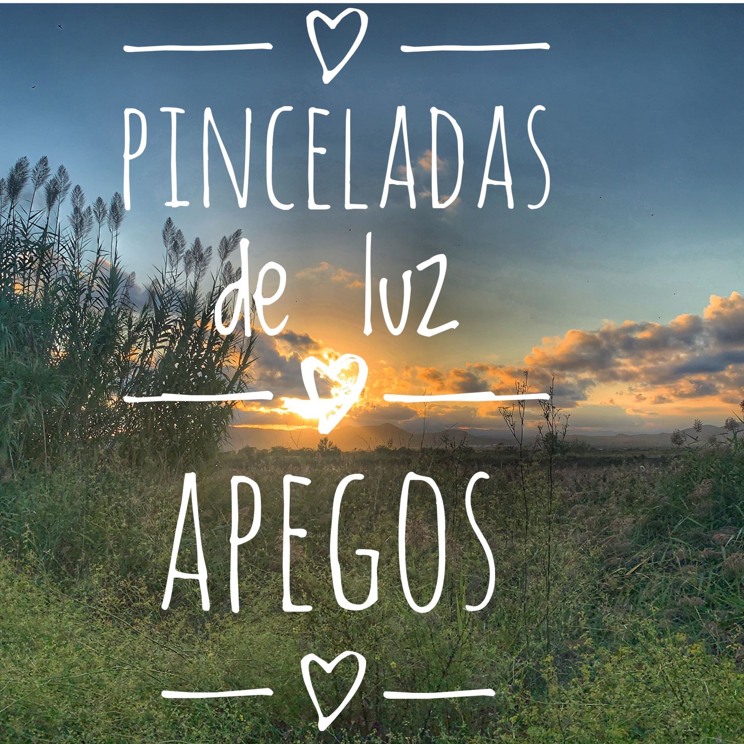 Pinceladas de luz