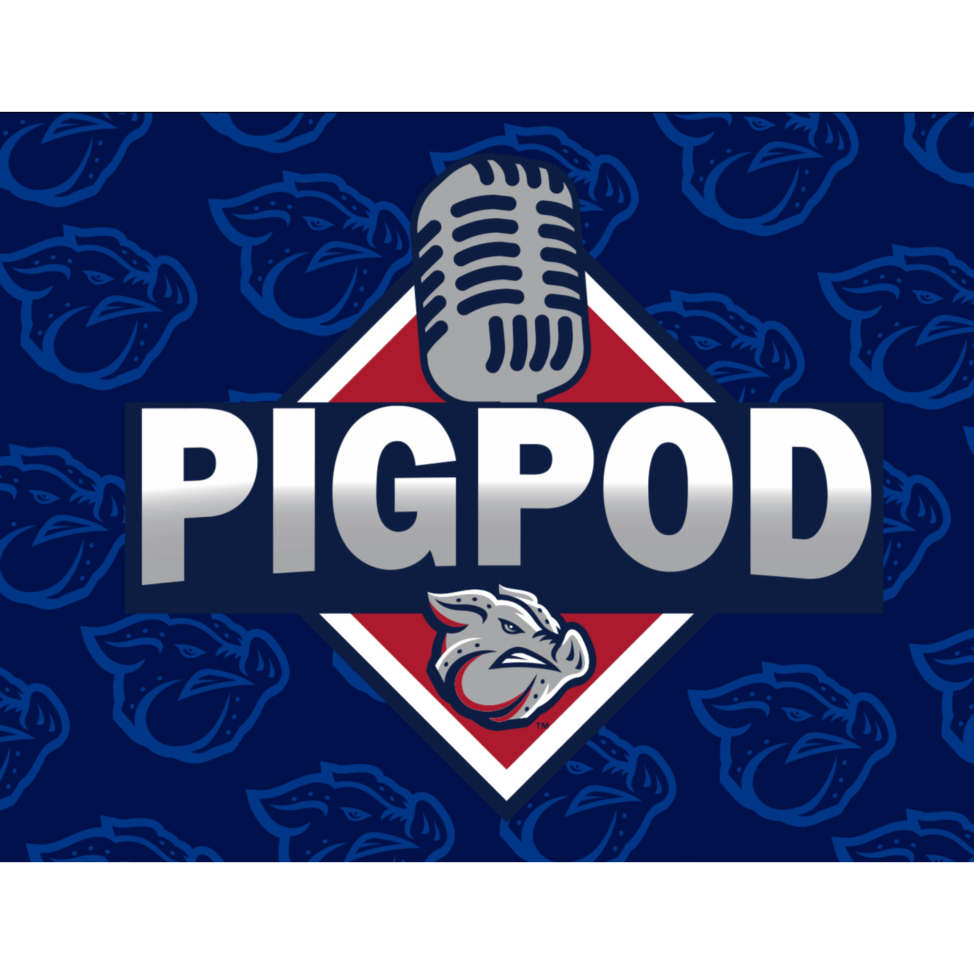 IronPigs Pitcher Michael Mercado