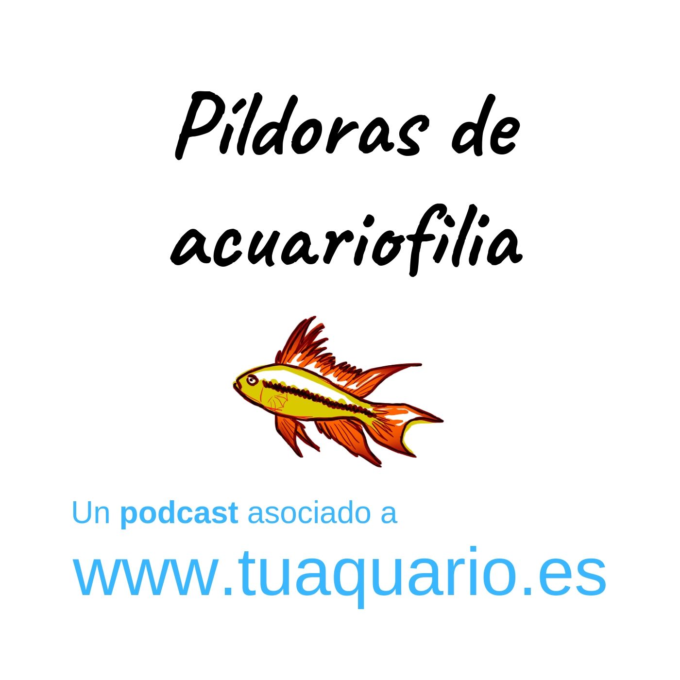 Pildoras de acuariofilia 3. Acuariofilia Responsable España (conversación)