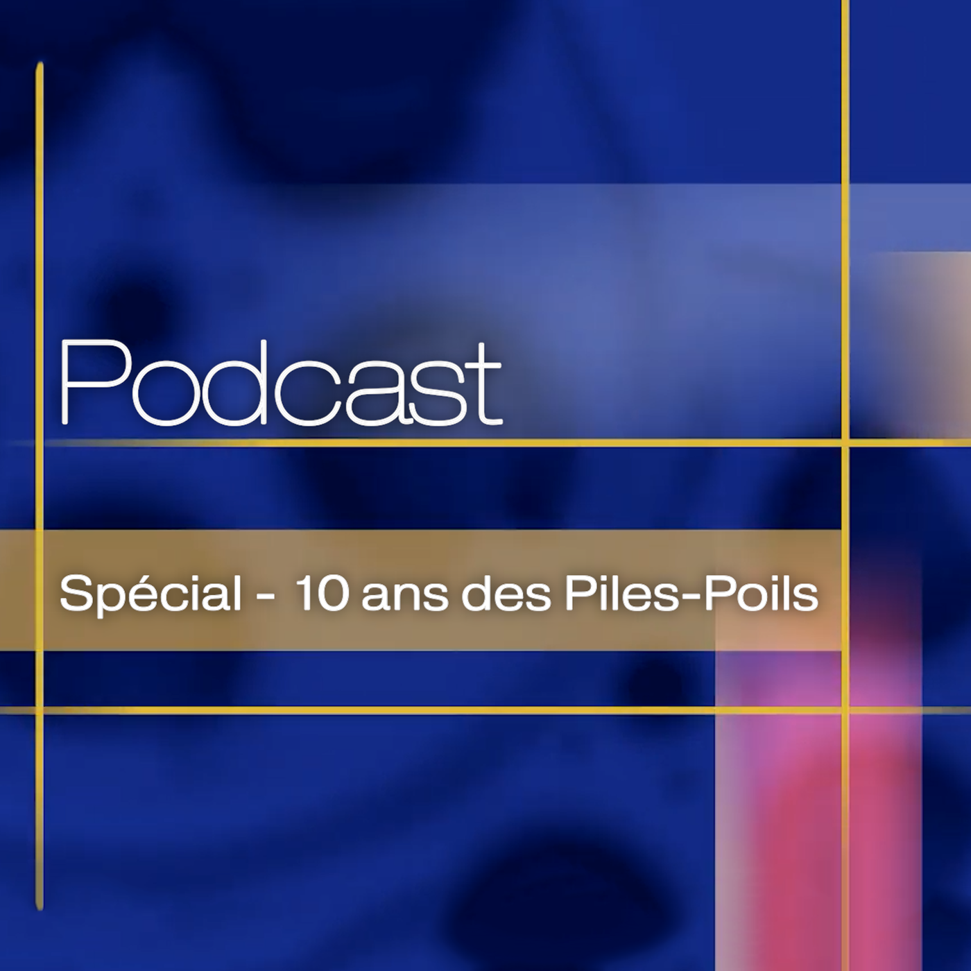 10 ans des Piles-Poils