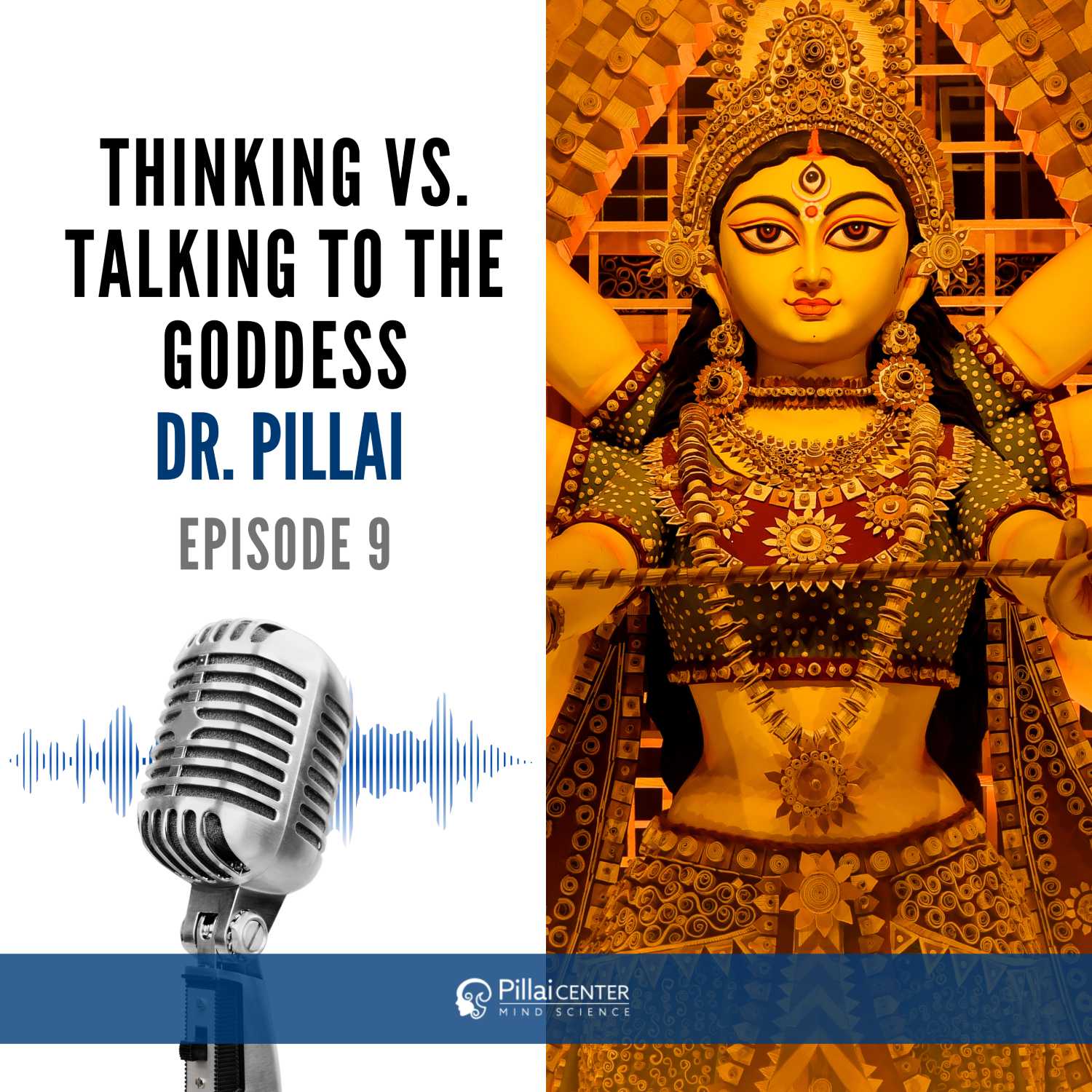 Thinking vs Talking to the Goddess - Dr. Pillai