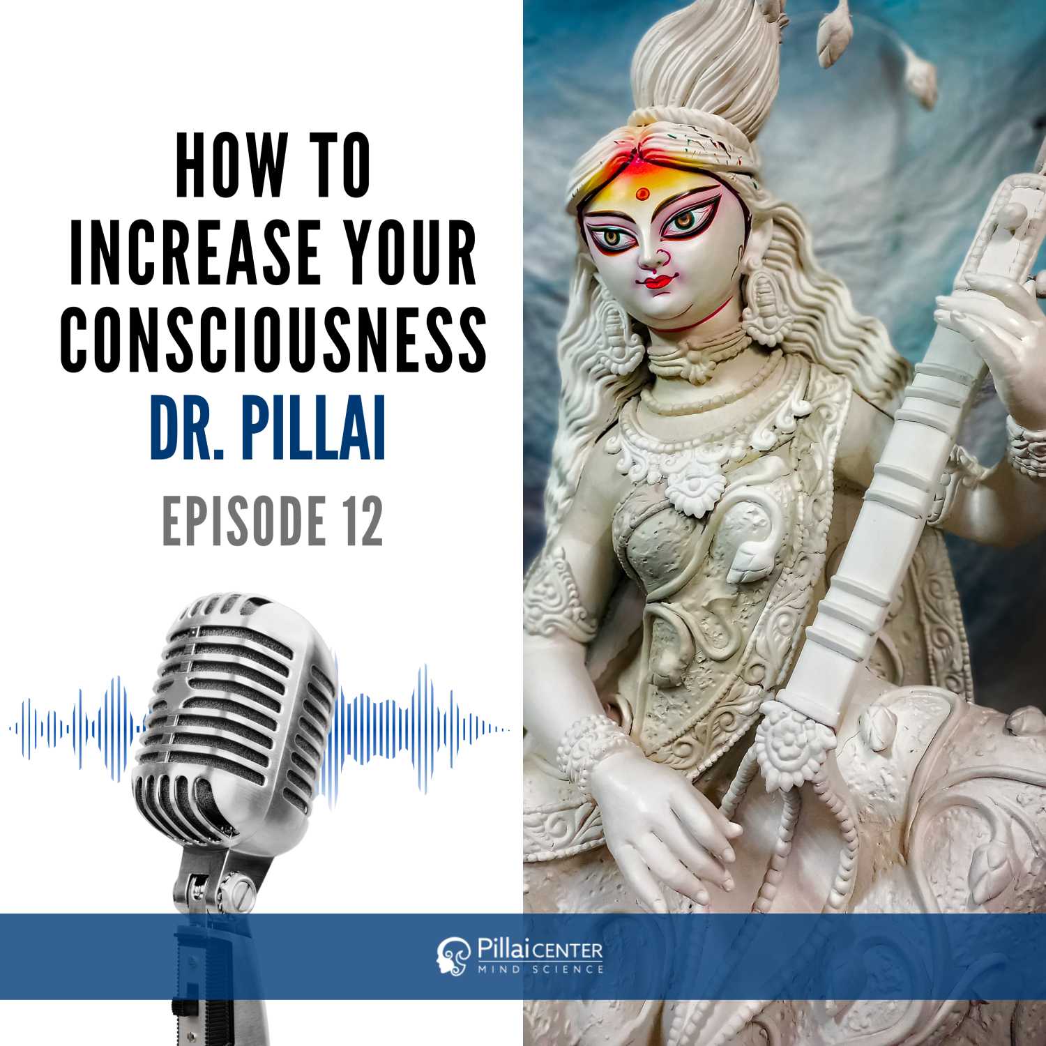 How to Increase Your Consciousness - Dr. Pillai