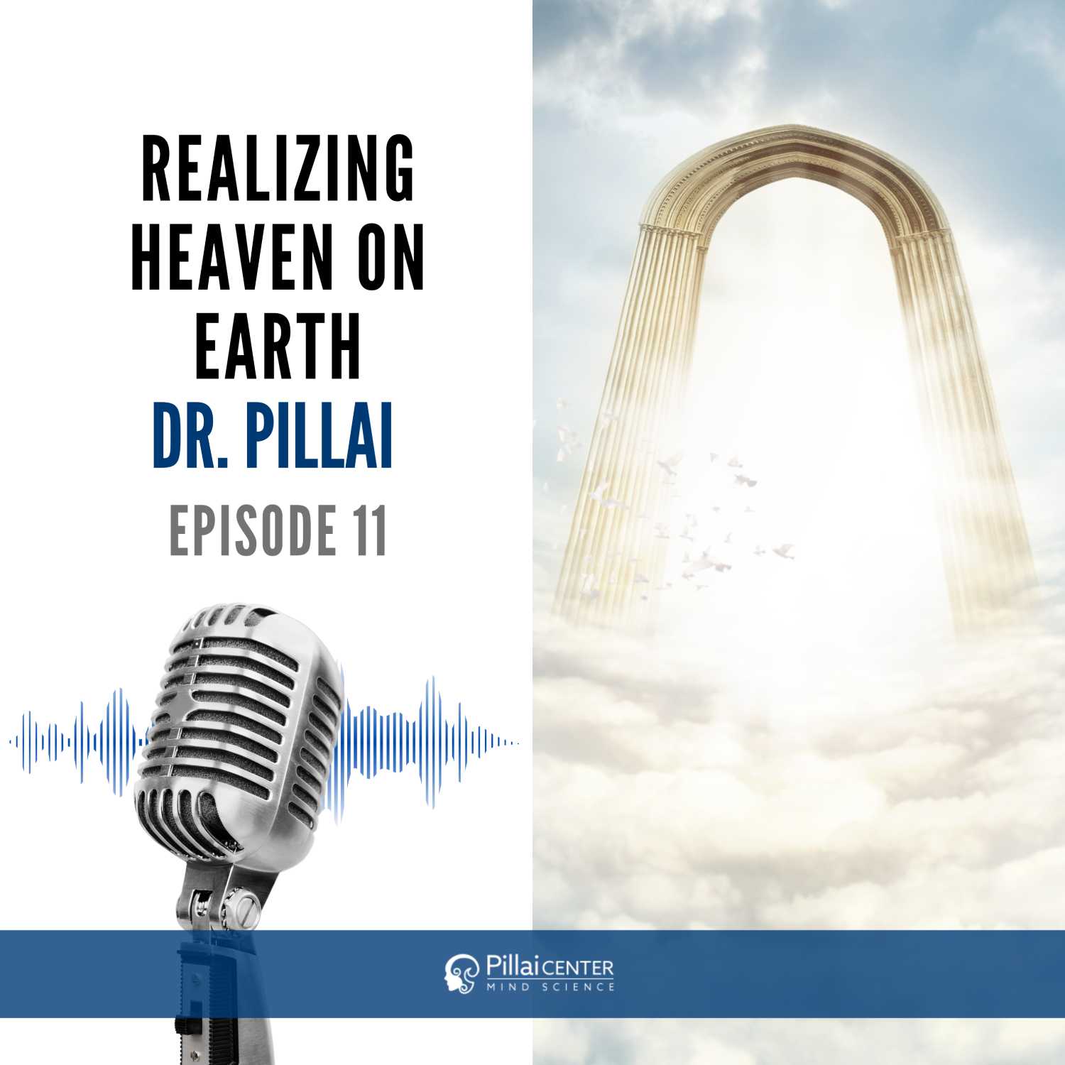 Realizing Heaven on Earth - Dr. Pillai