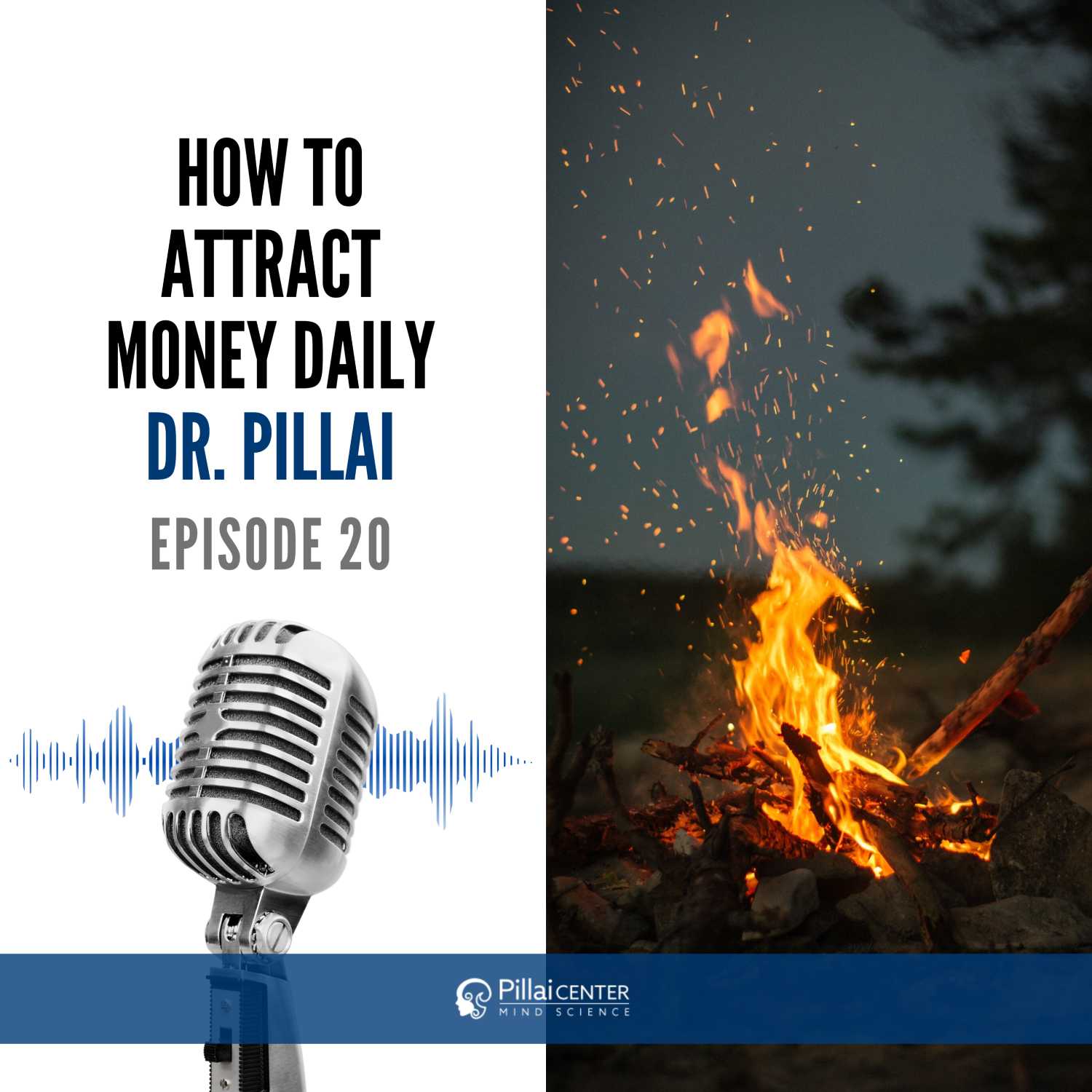 How To Attract Money Daily - Dr. Pillai