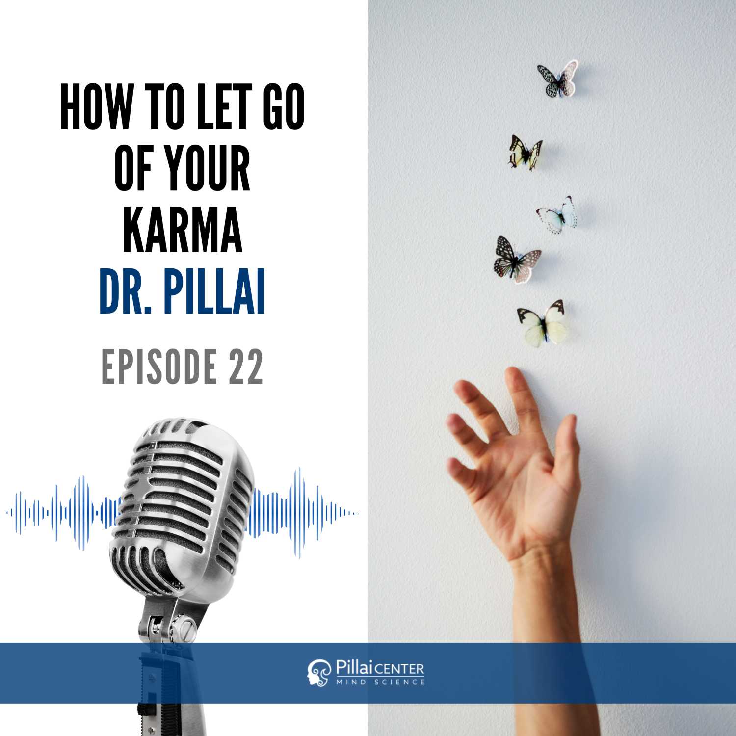 How To Let Go Of Your Karma - Dr. Pillai