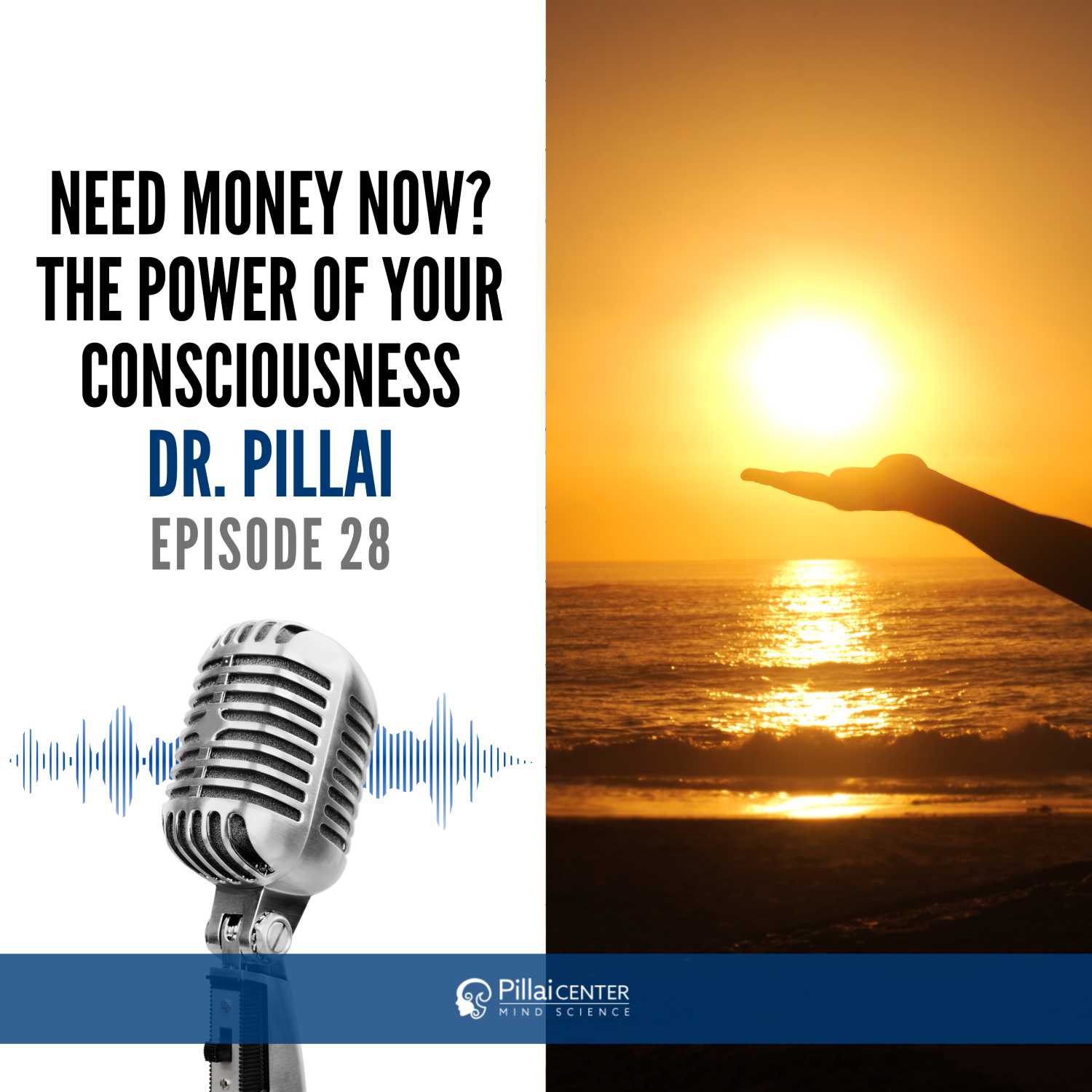 Need Money Now ? The Power Of Your Consciousness - Dr. Pillai